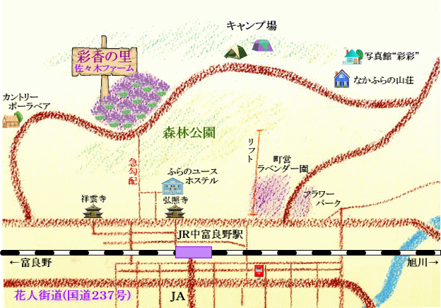 北海道自助遊攻略