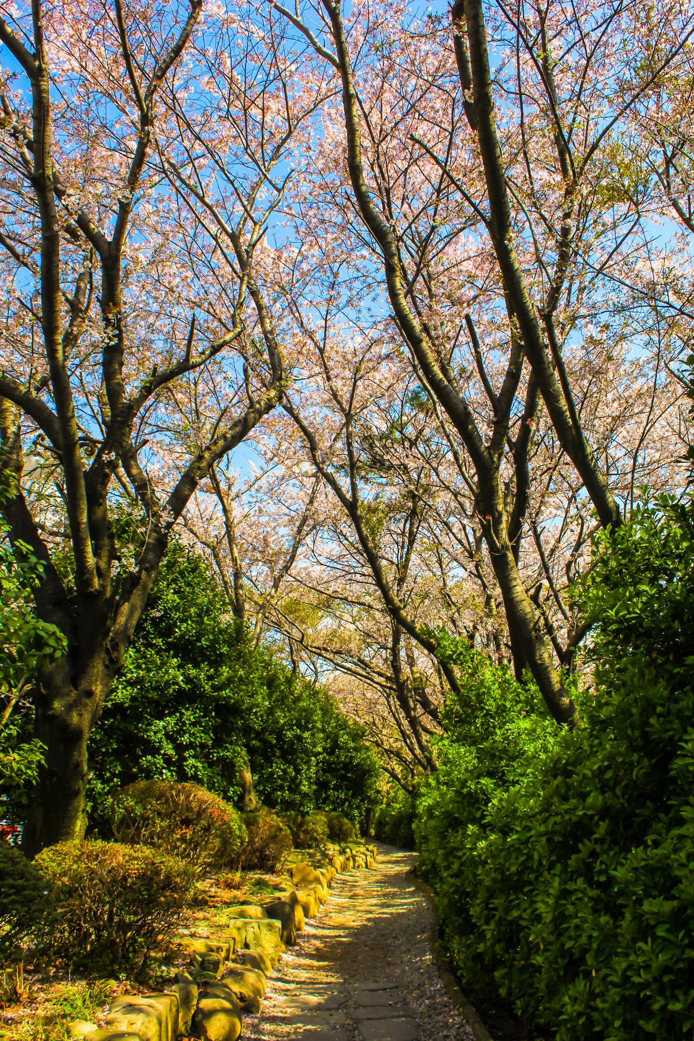 釜山自助遊攻略