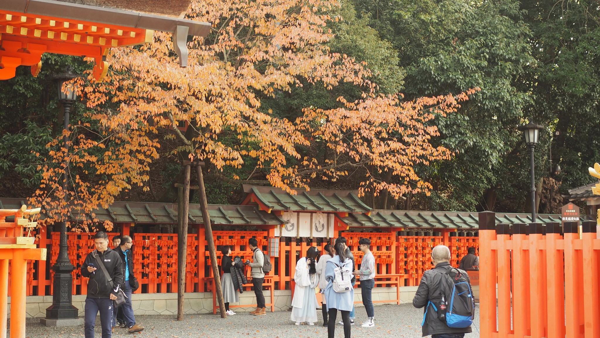 京都自助遊攻略