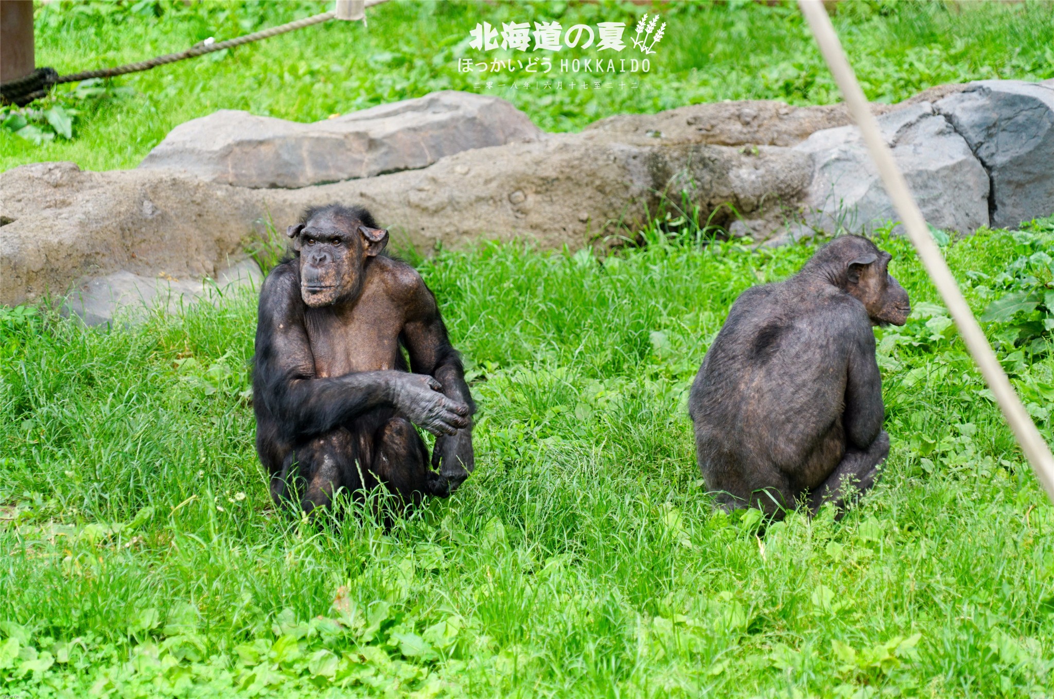 北海道自助遊攻略