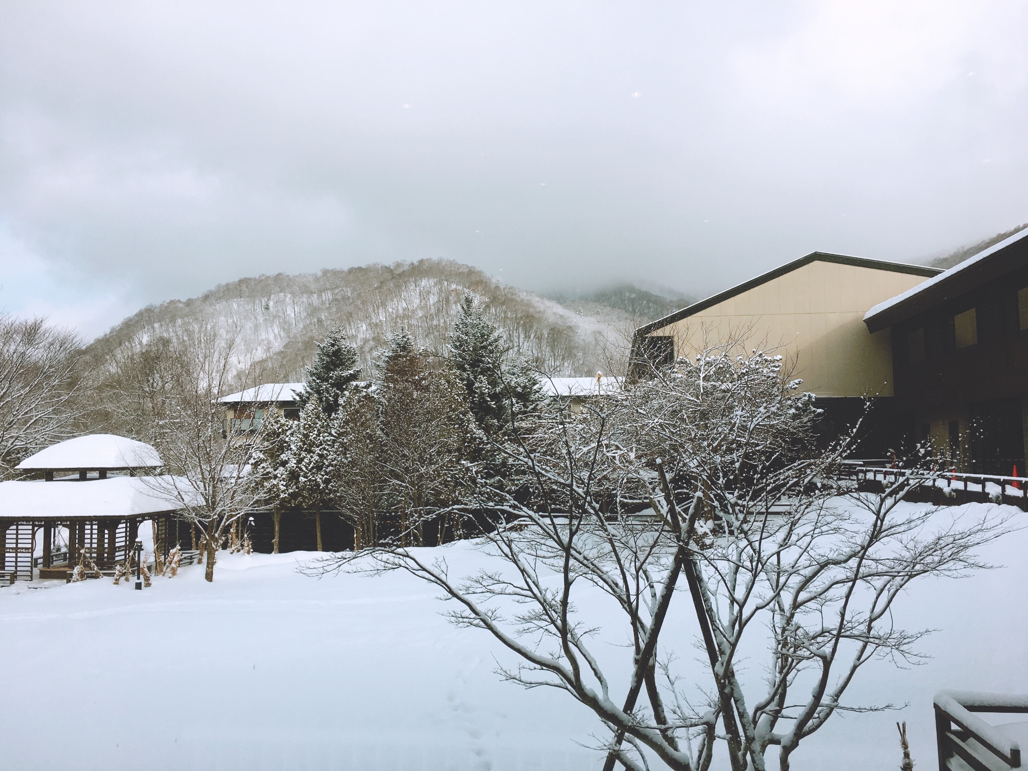 北海道自助遊攻略