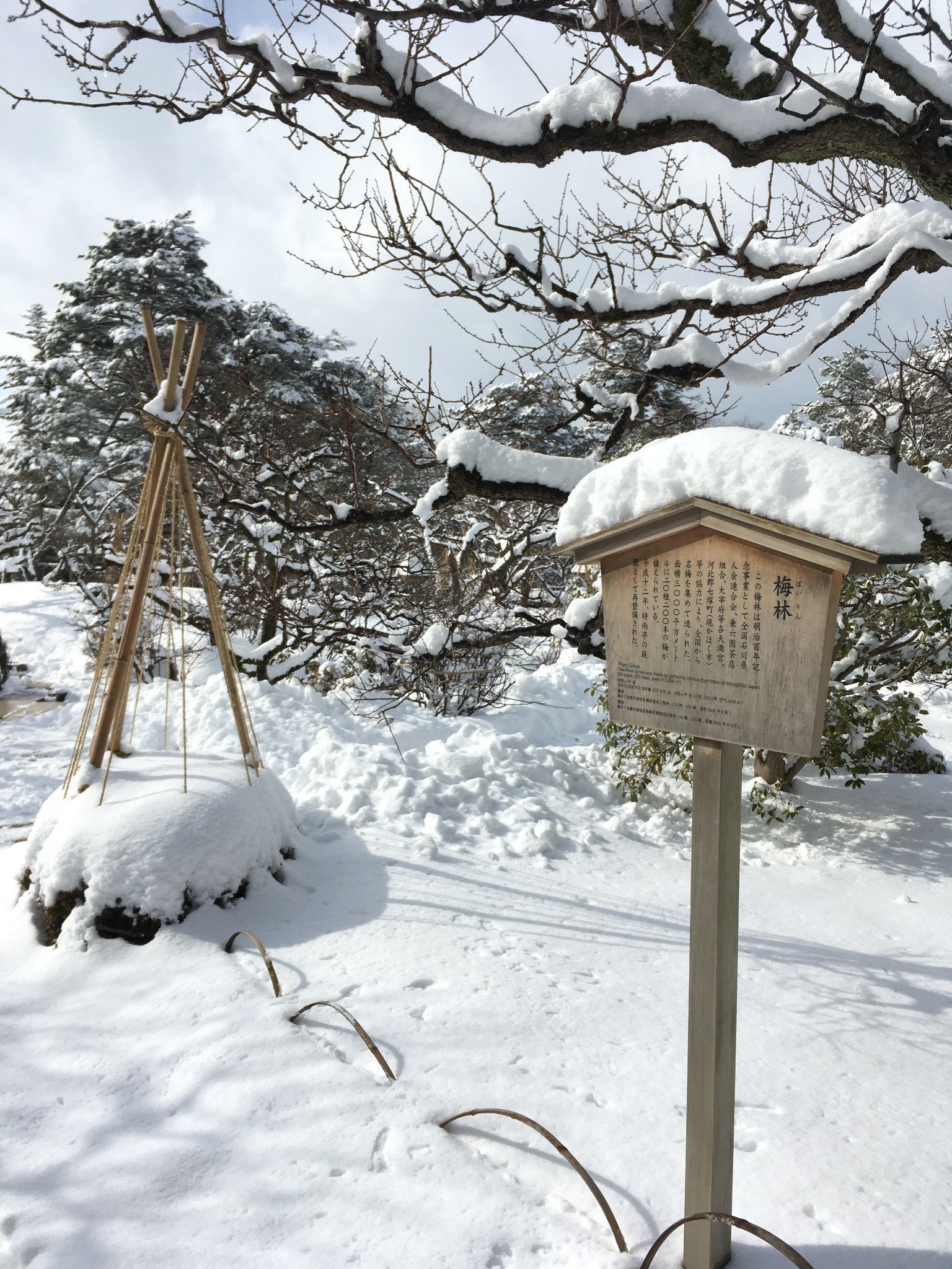 名古屋自助遊攻略