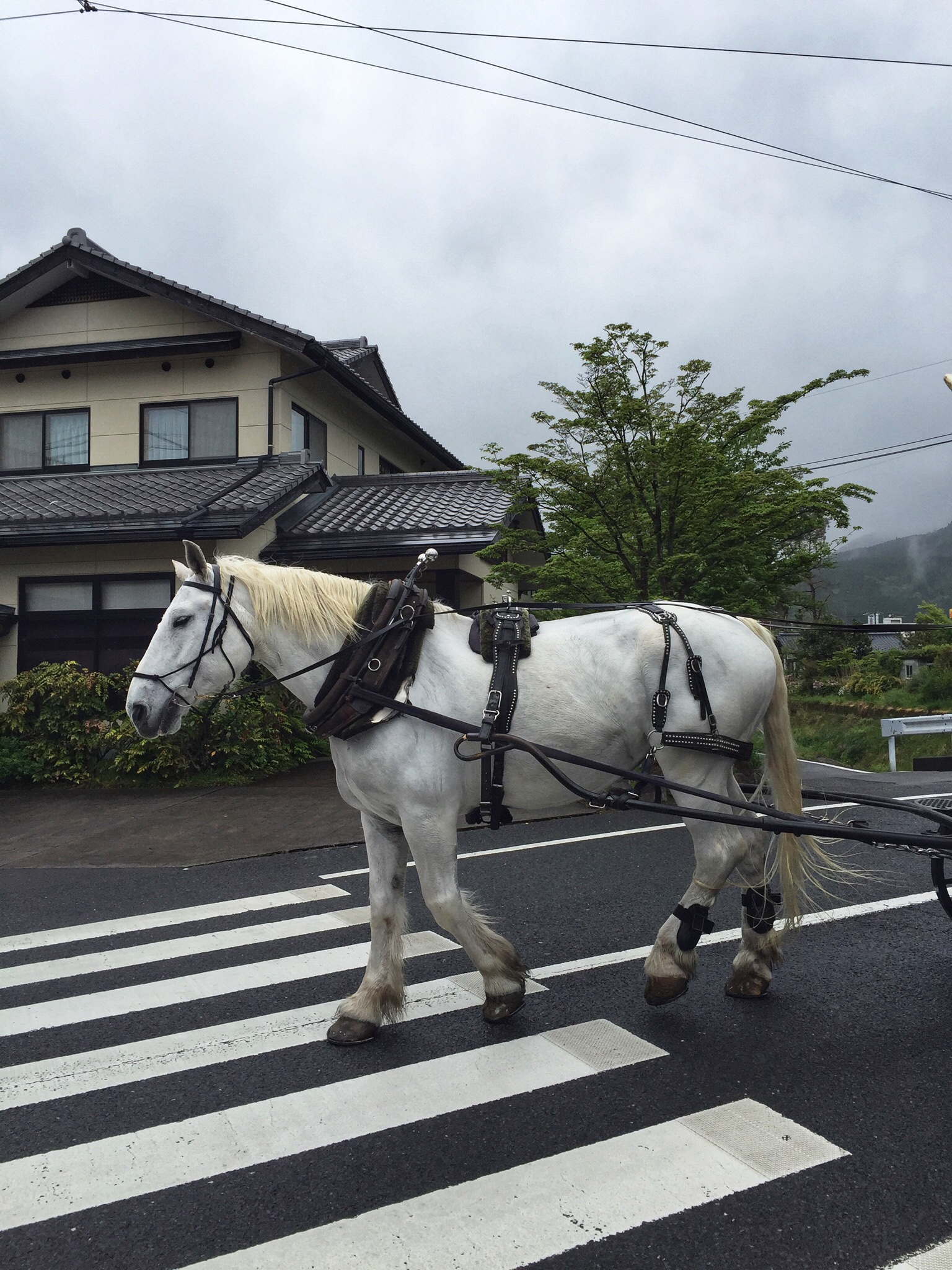 北九州自助遊攻略