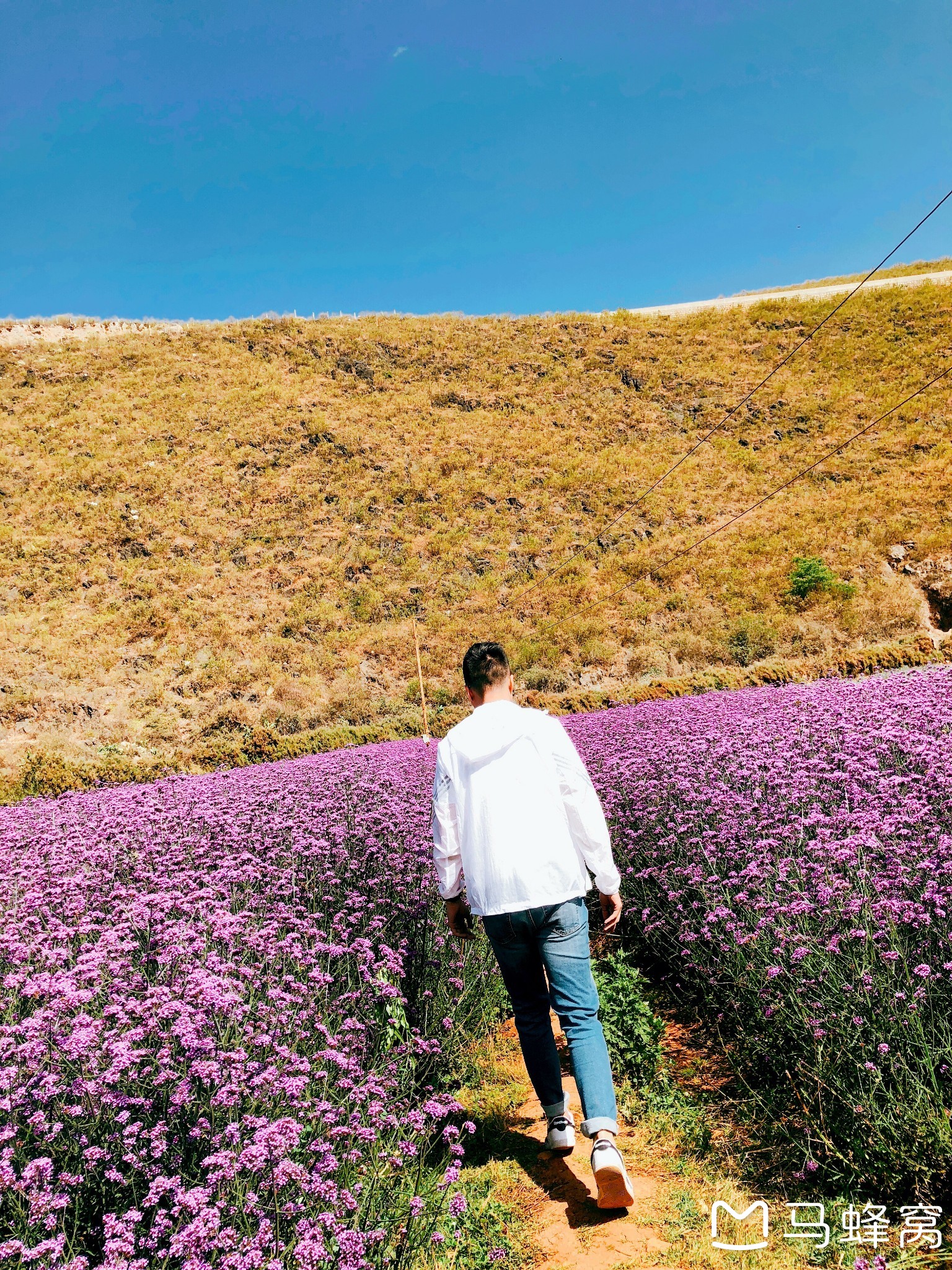 回复游记:【一个人-大理5日游】跟着大理的风,悠闲不赶路