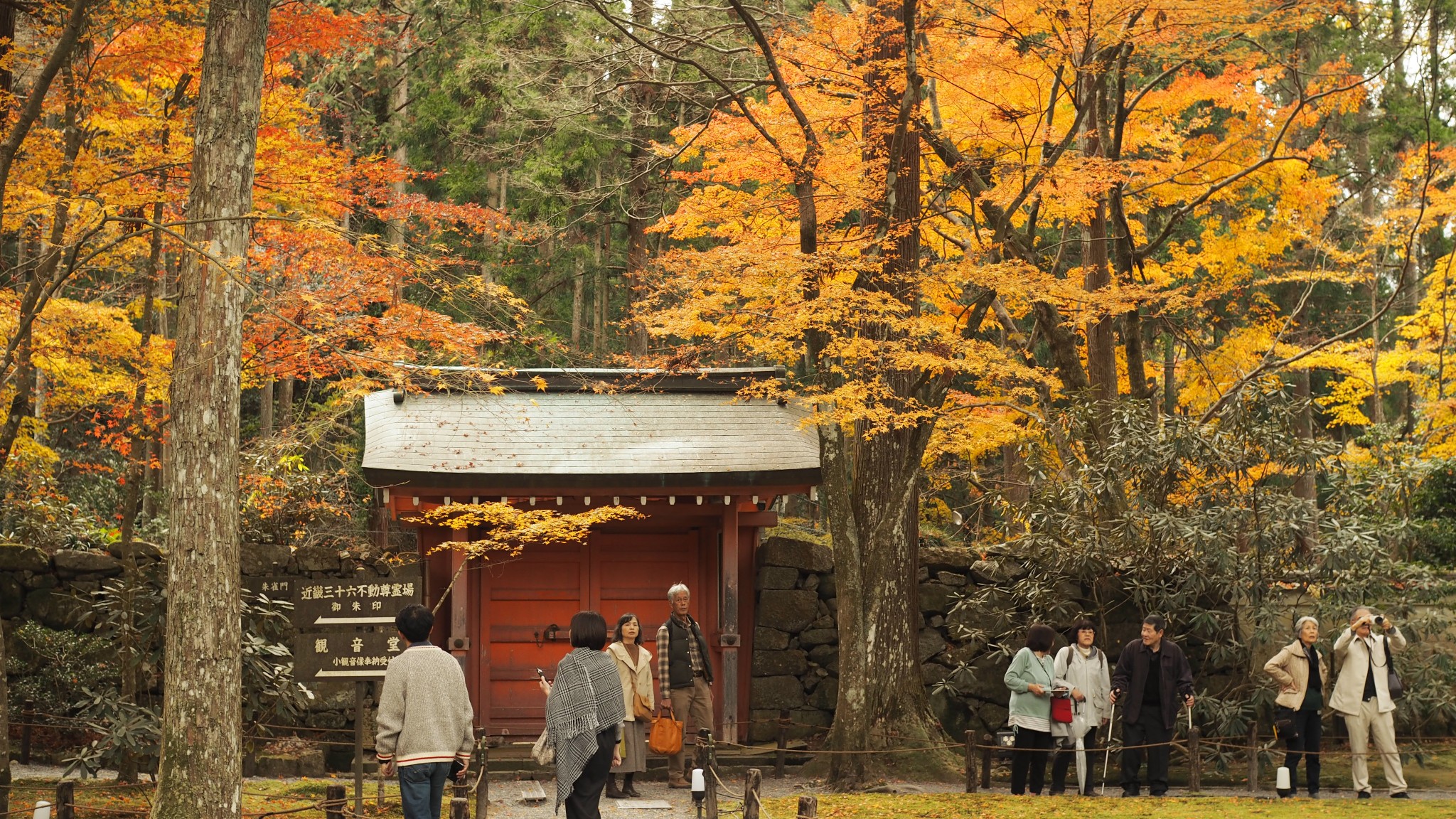 京都自助遊攻略