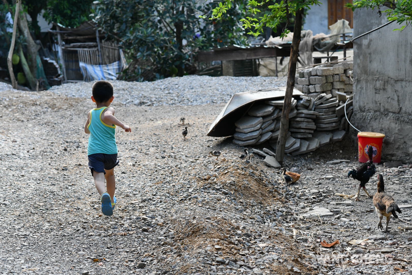 河內自助遊攻略