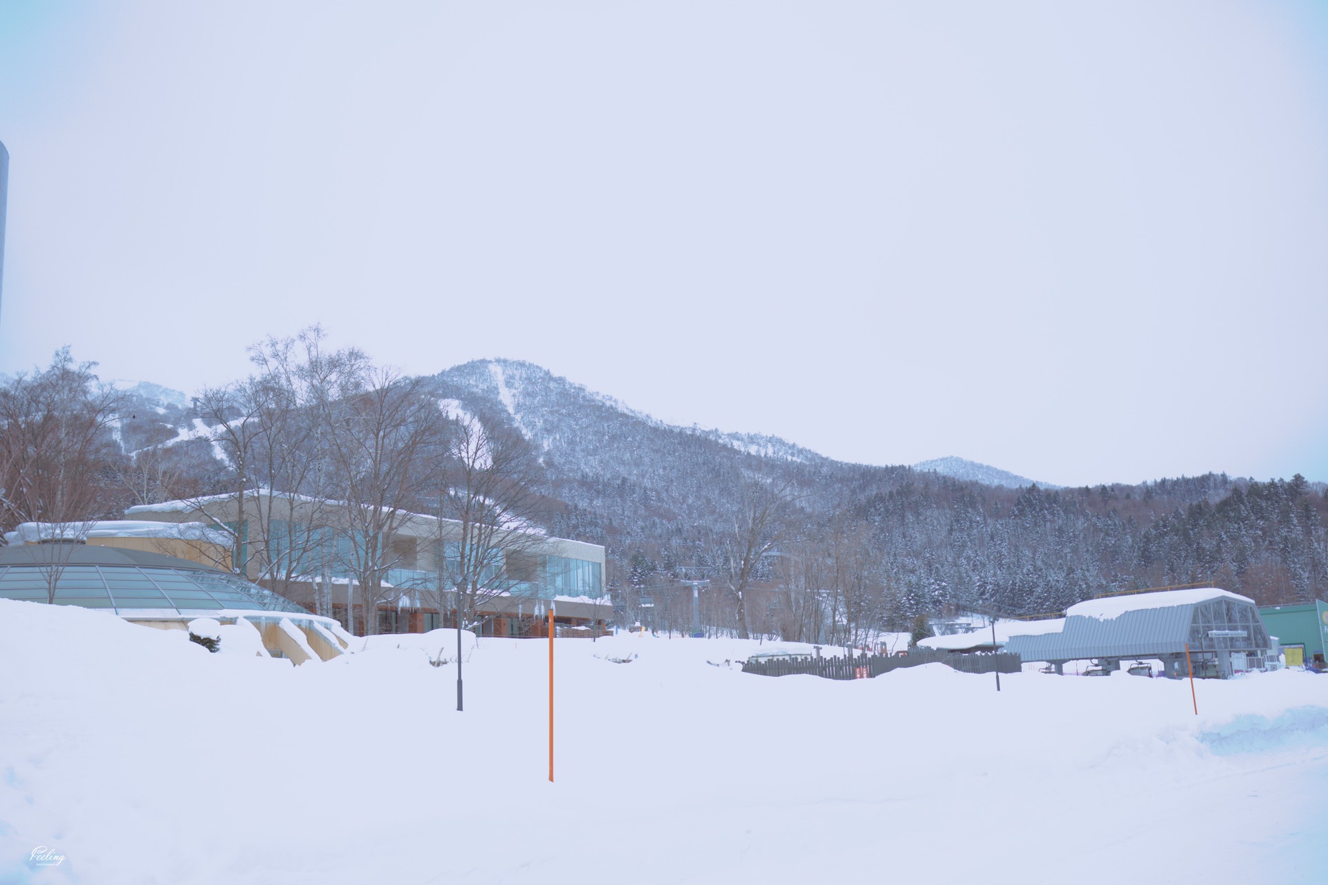 北海道自助遊攻略