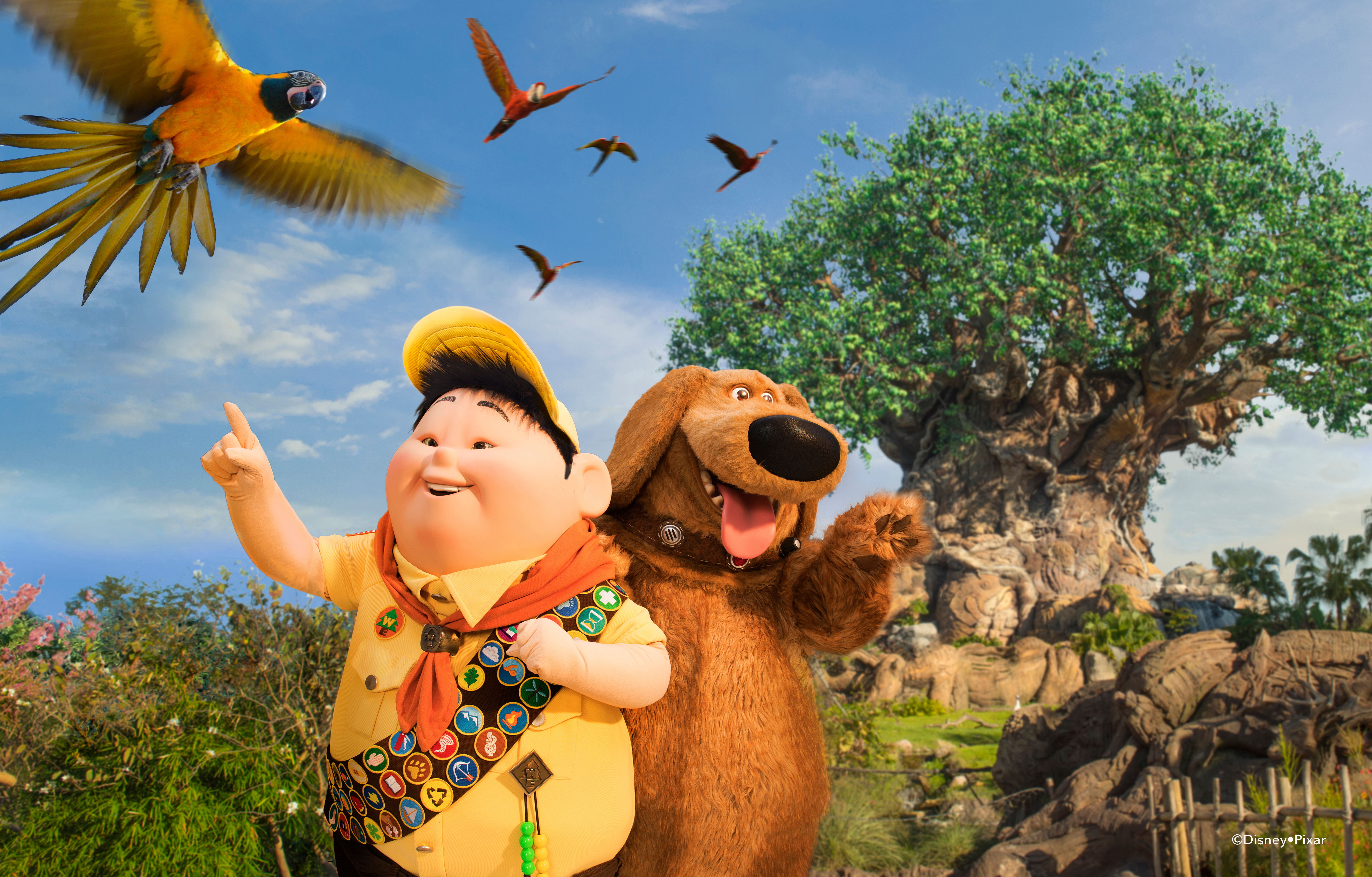 和russell一起来一场鸟类大冒险吧!via 华特迪士尼世界