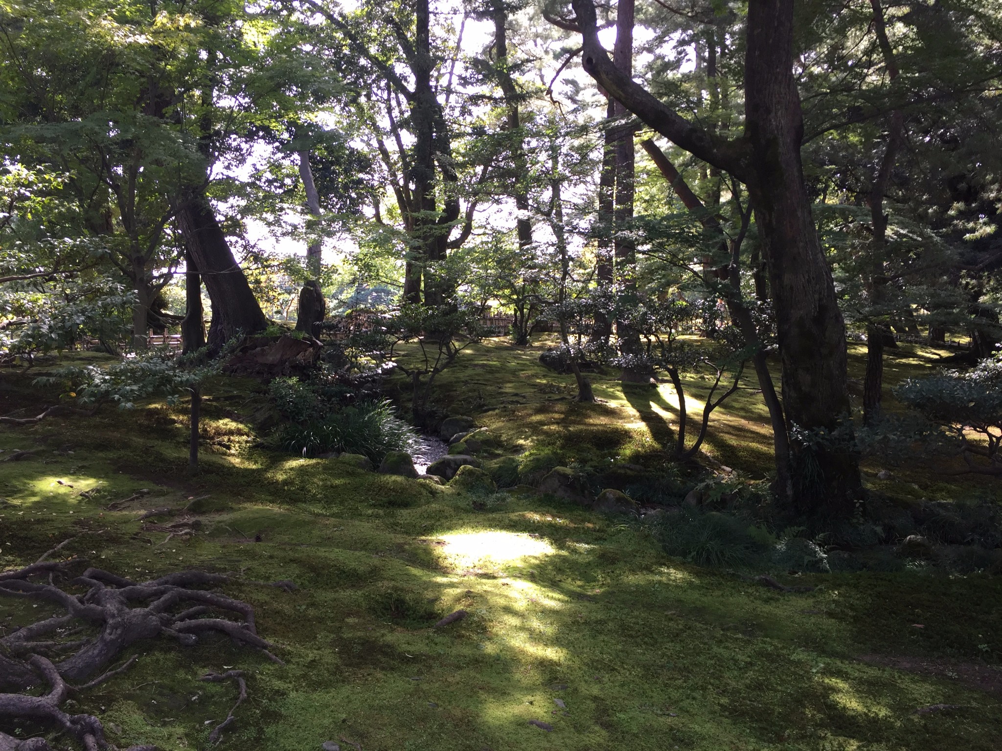 名古屋自助遊攻略