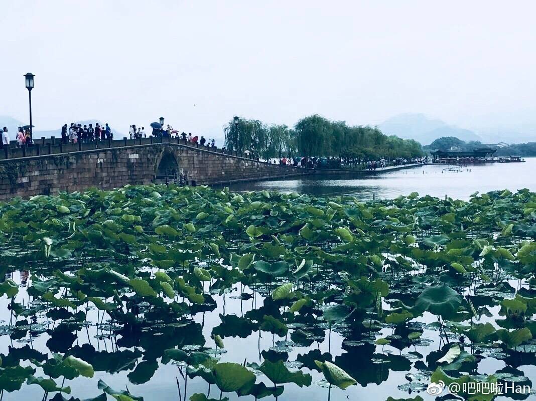 杭州非常住人口_杭州每年人口增长