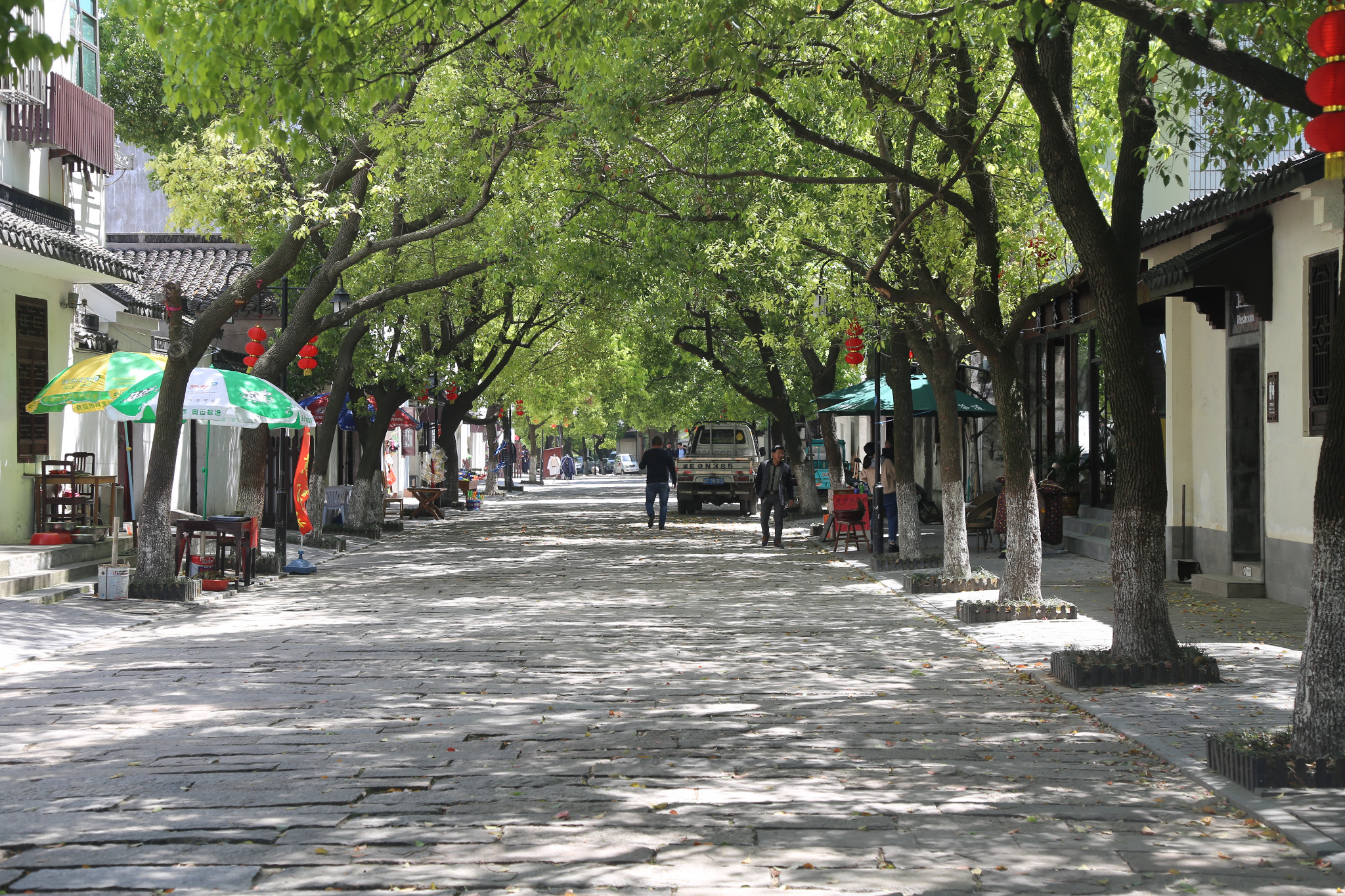 盛泽南麻人口_盛泽南麻规划图