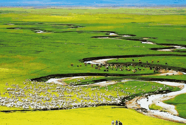 草原图片大全大图草原风景动图草原动态图片大全大图草原美景图 动态
