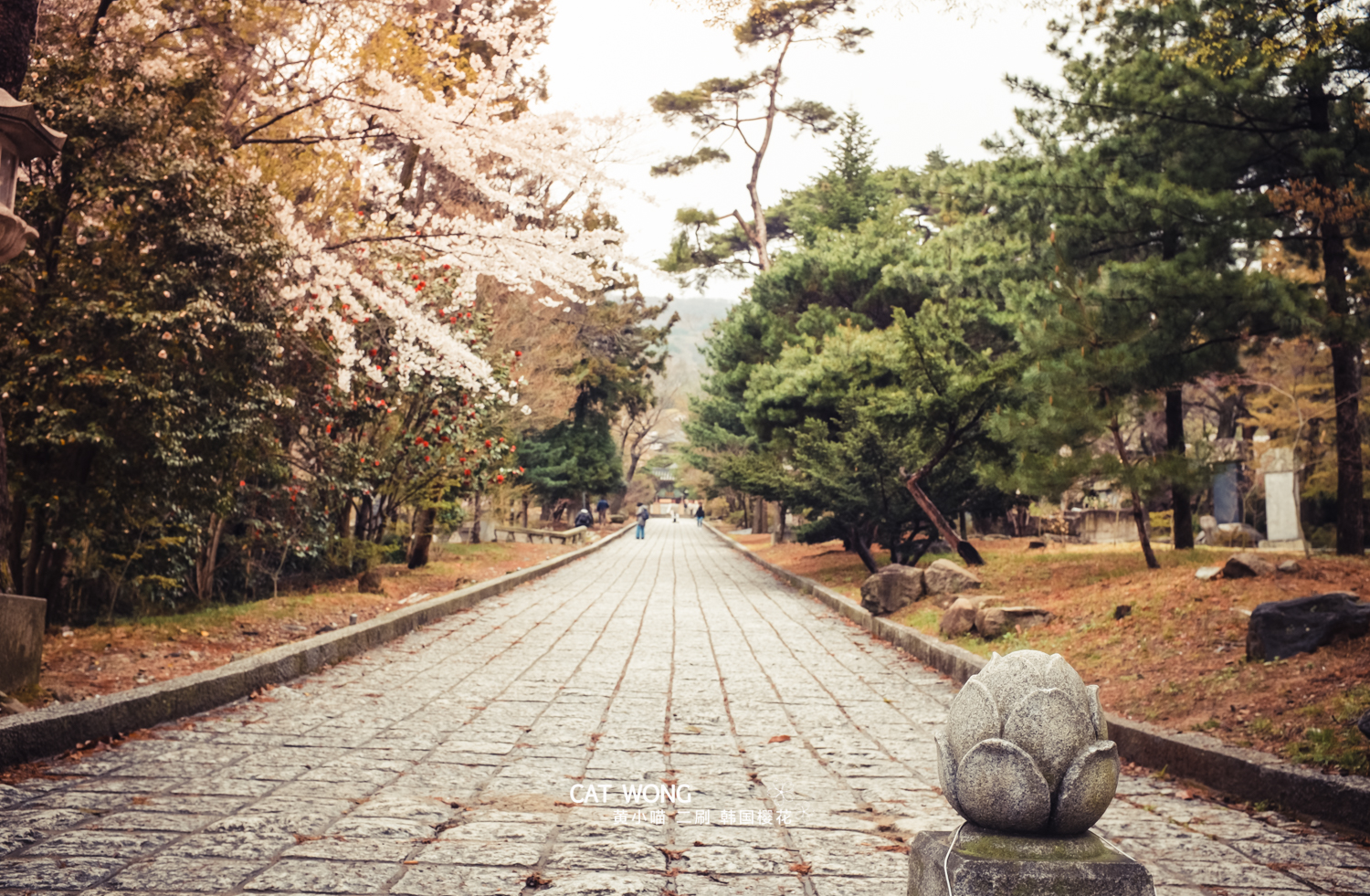 釜山自助遊攻略