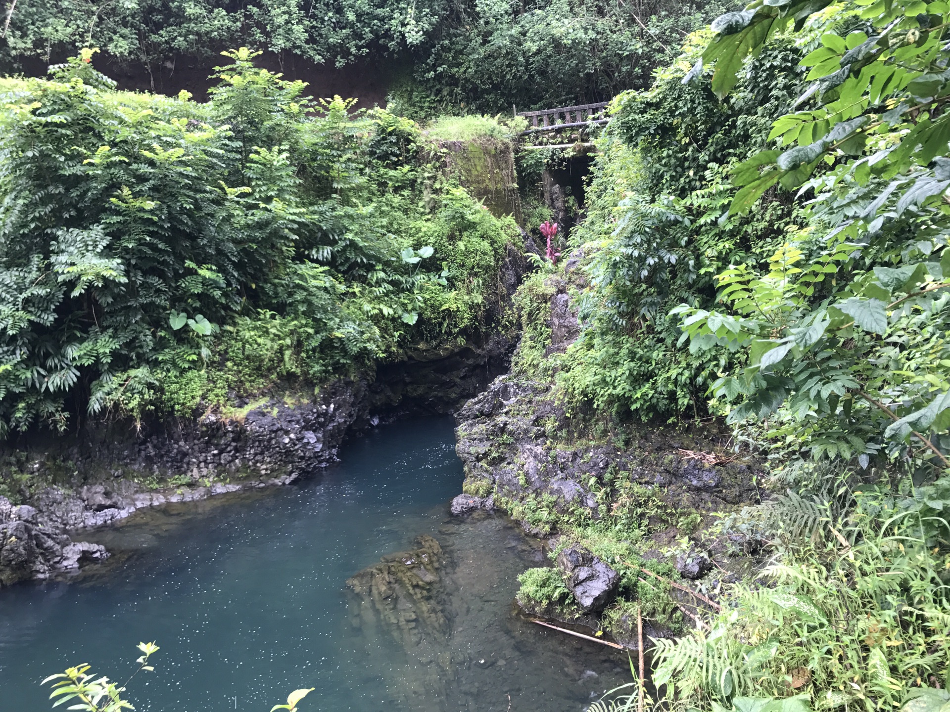 夏威夷自助遊攻略