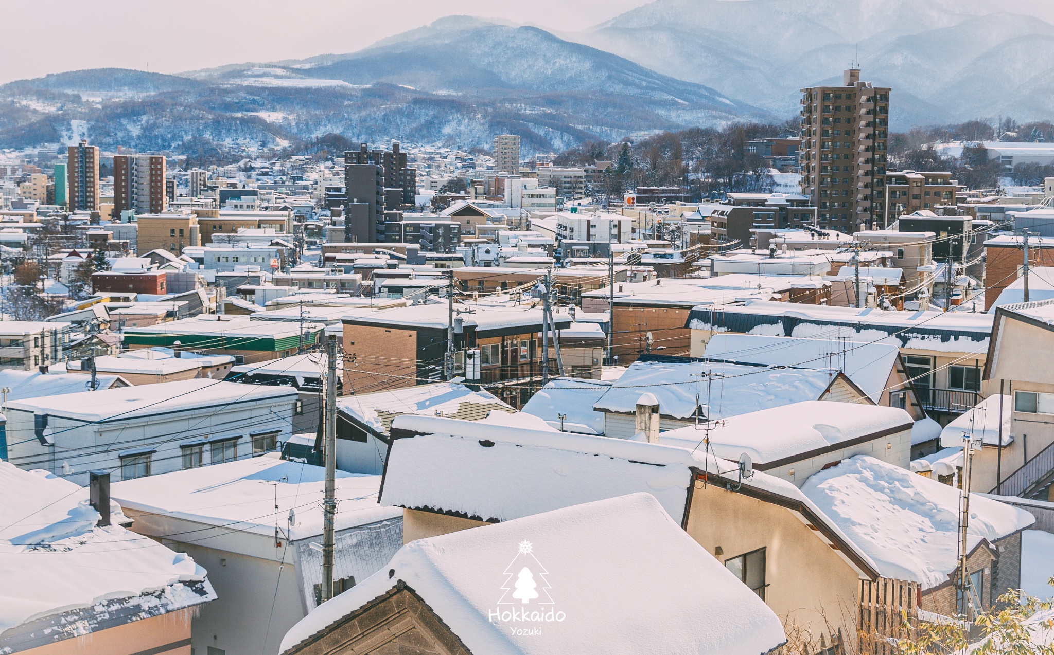 北海道自助遊攻略