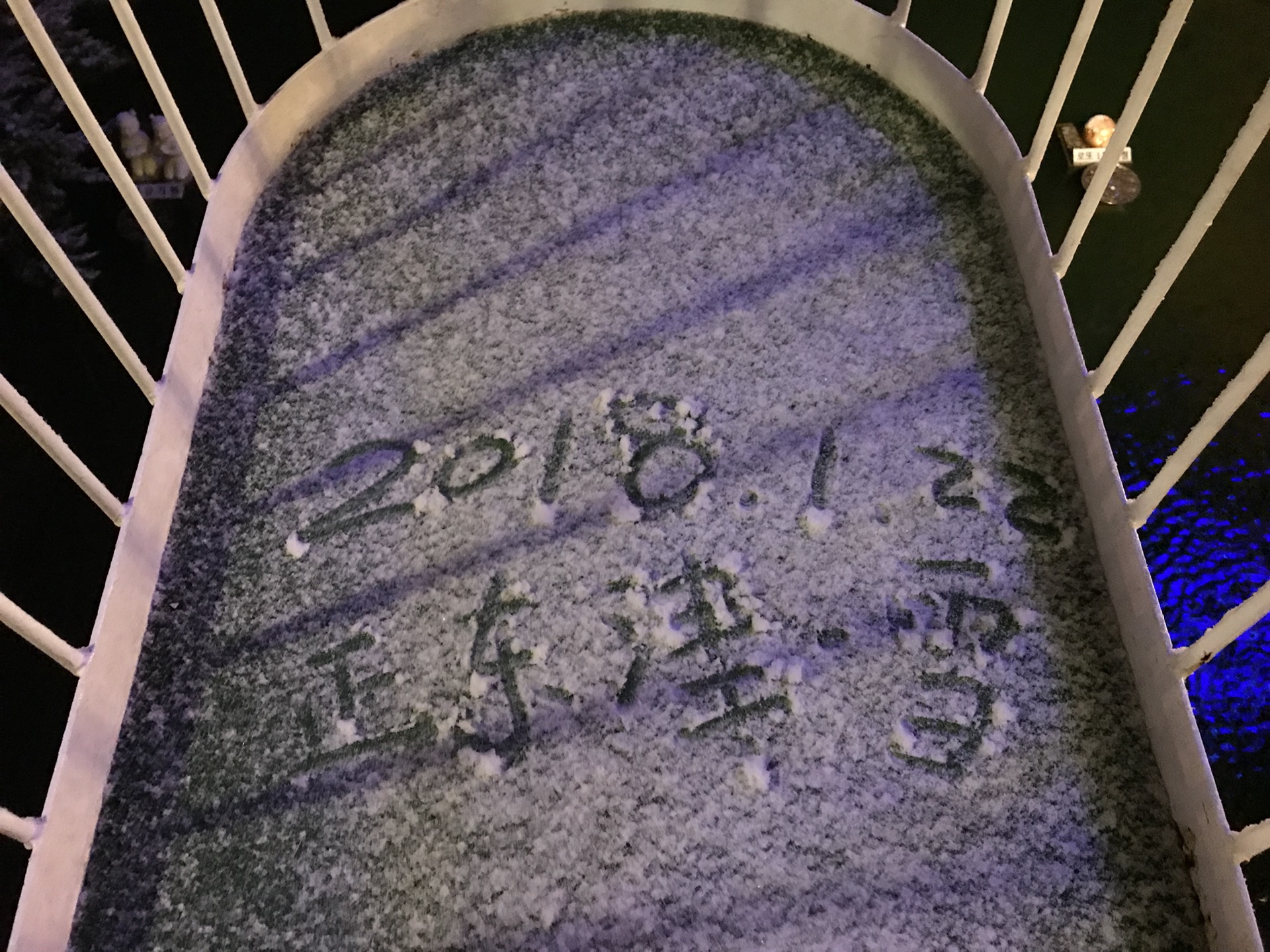 猜下雪的成语_形容下雪的成语(3)