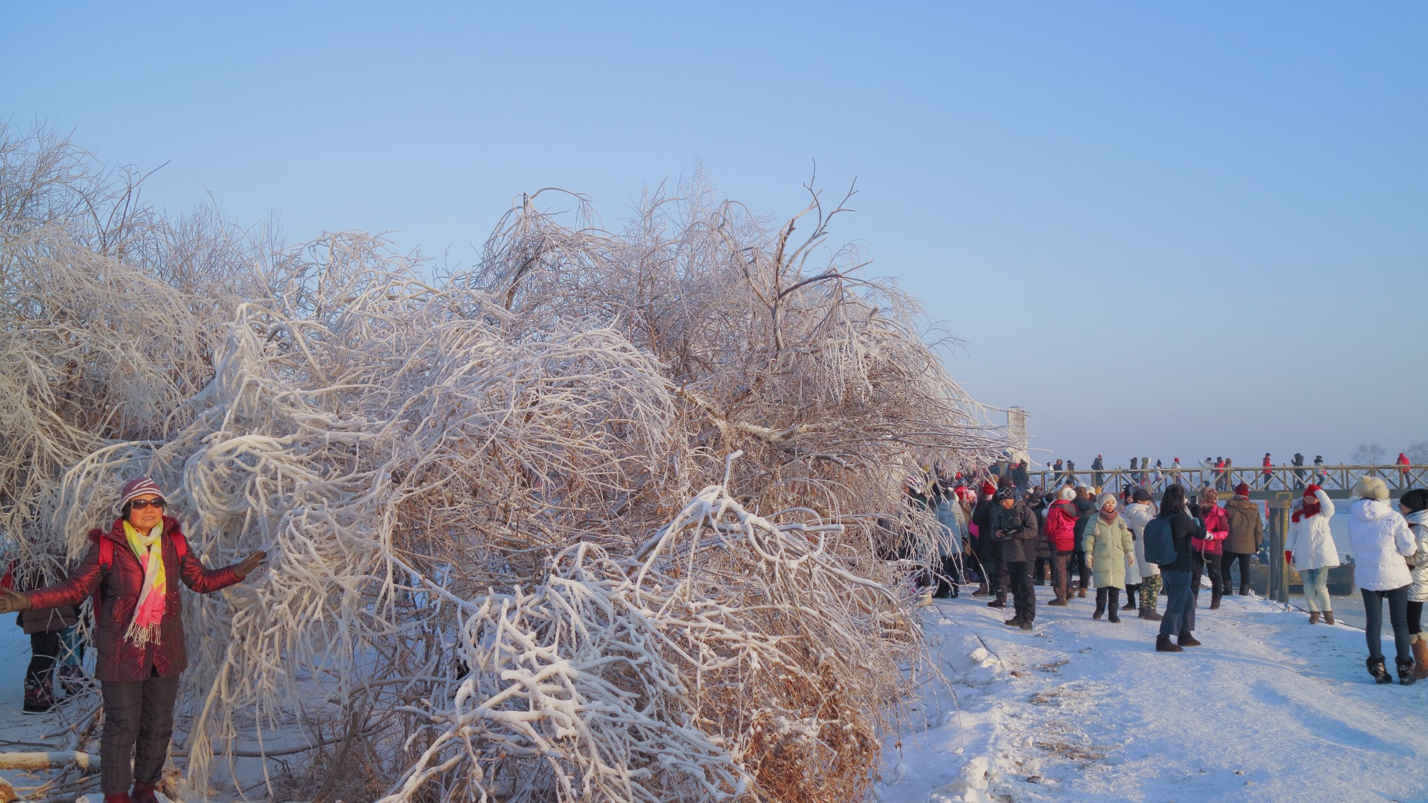 雪鄉自助遊攻略