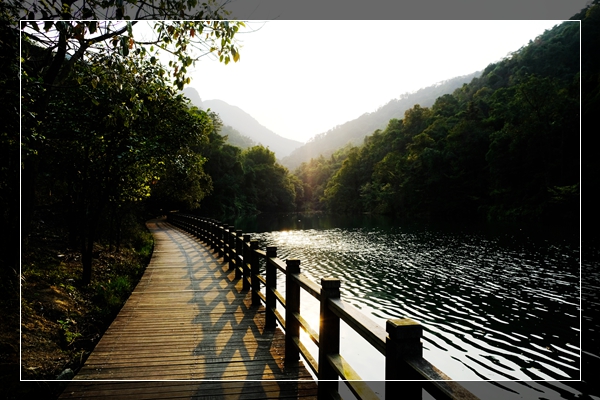 带狗狗去旅行:花都王子山森林公园_游记