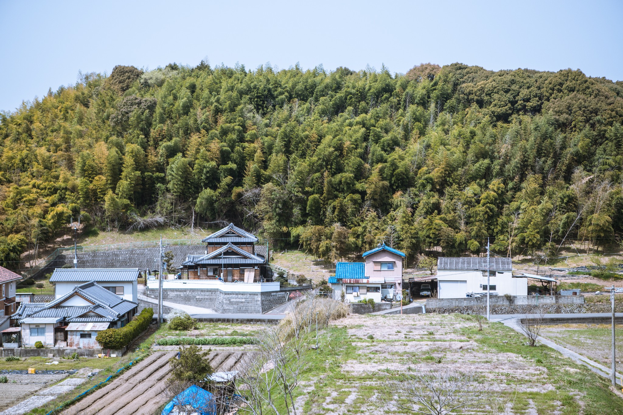 和歌山市自助遊攻略