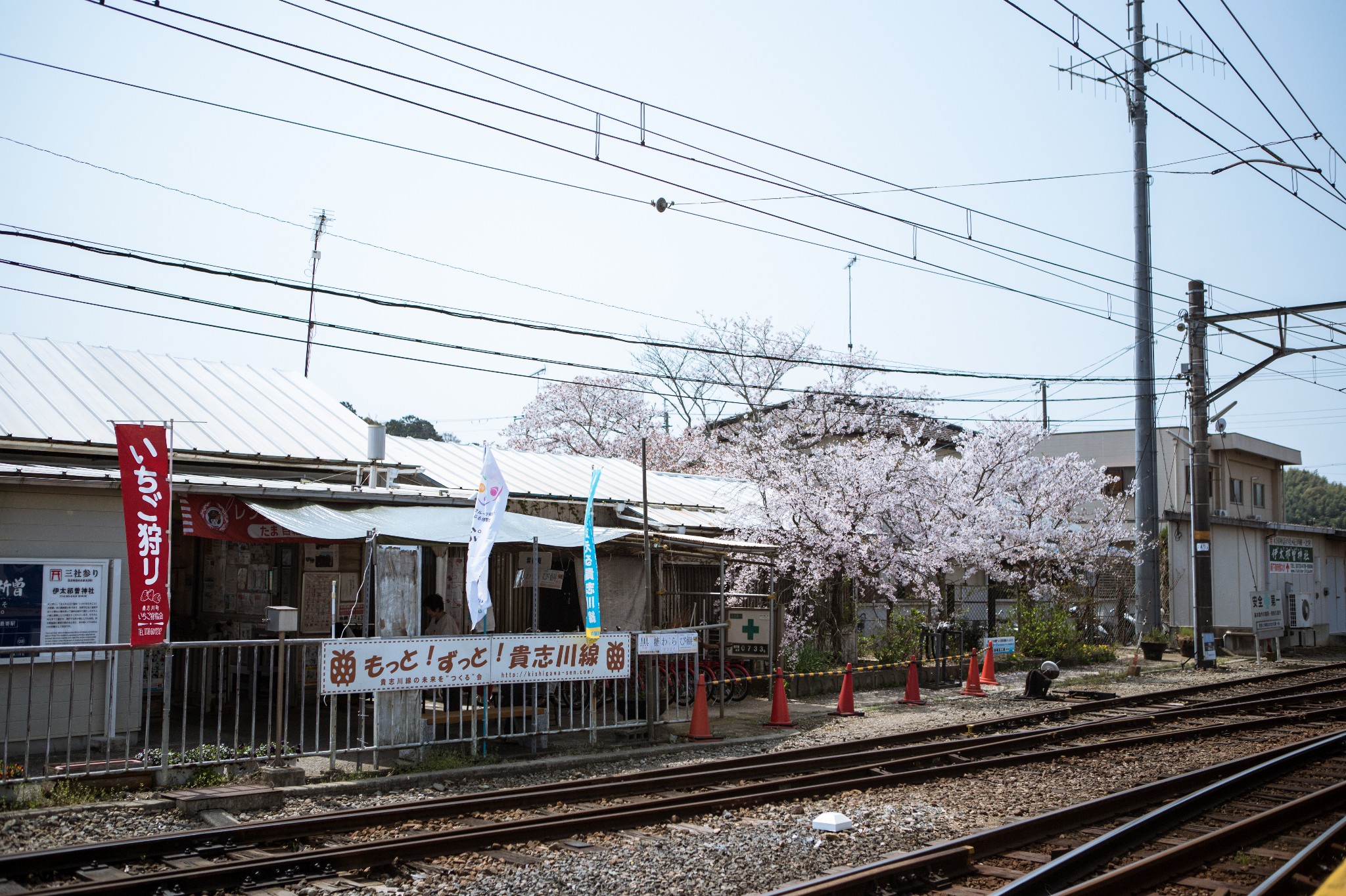 和歌山市自助遊攻略