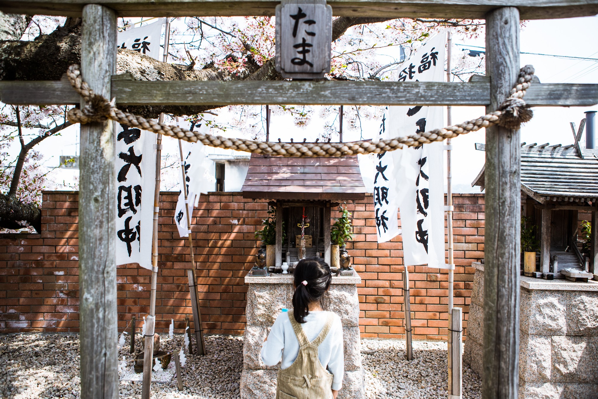 和歌山市自助遊攻略