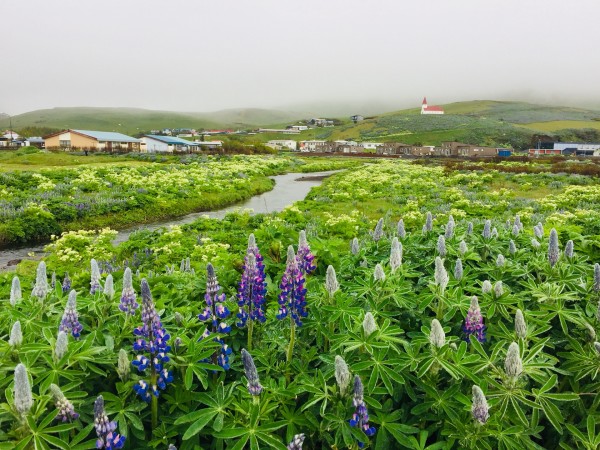 你想看的都在这里,冰岛南部海岸,杰古沙龙冰湖