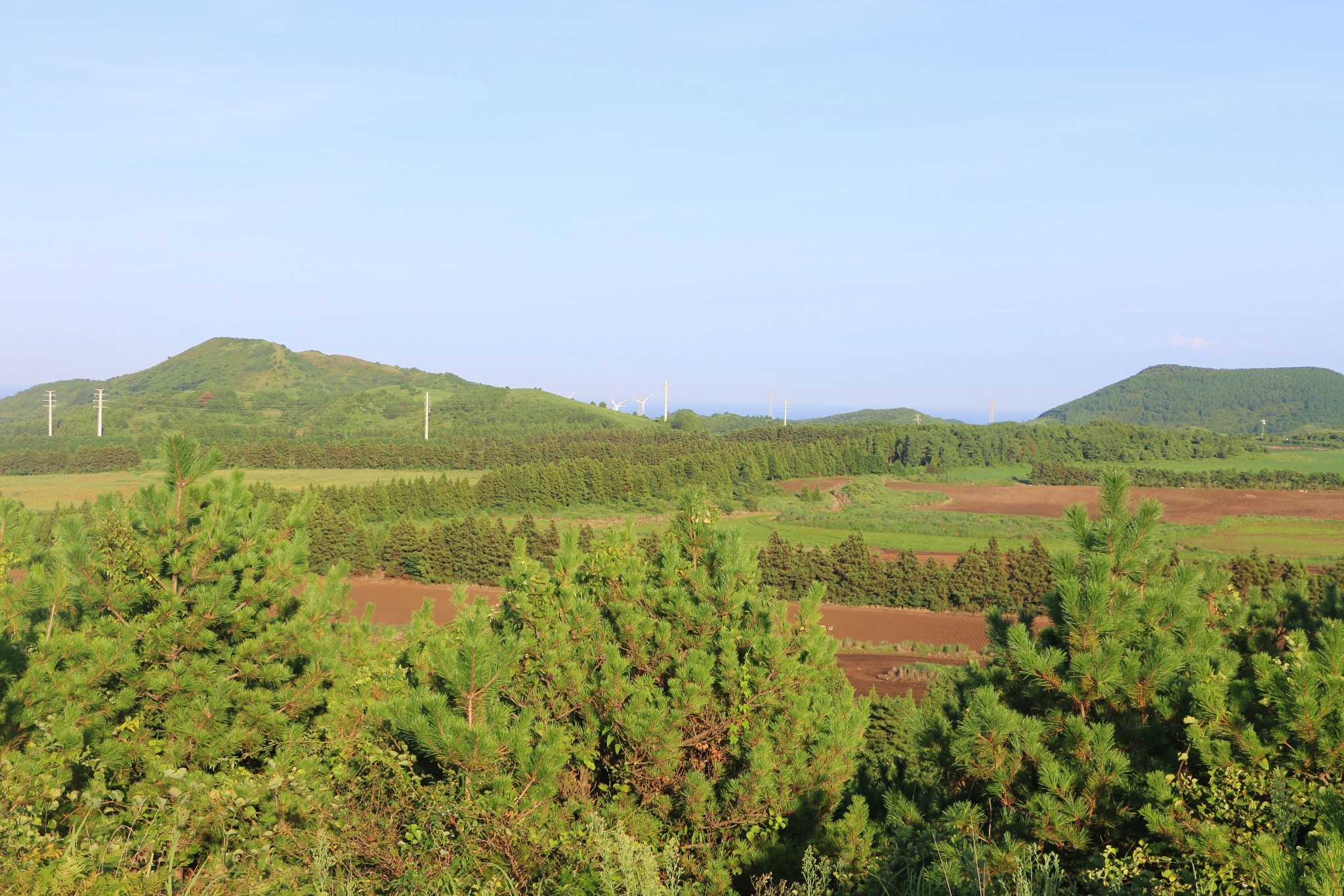 濟州島自助遊攻略