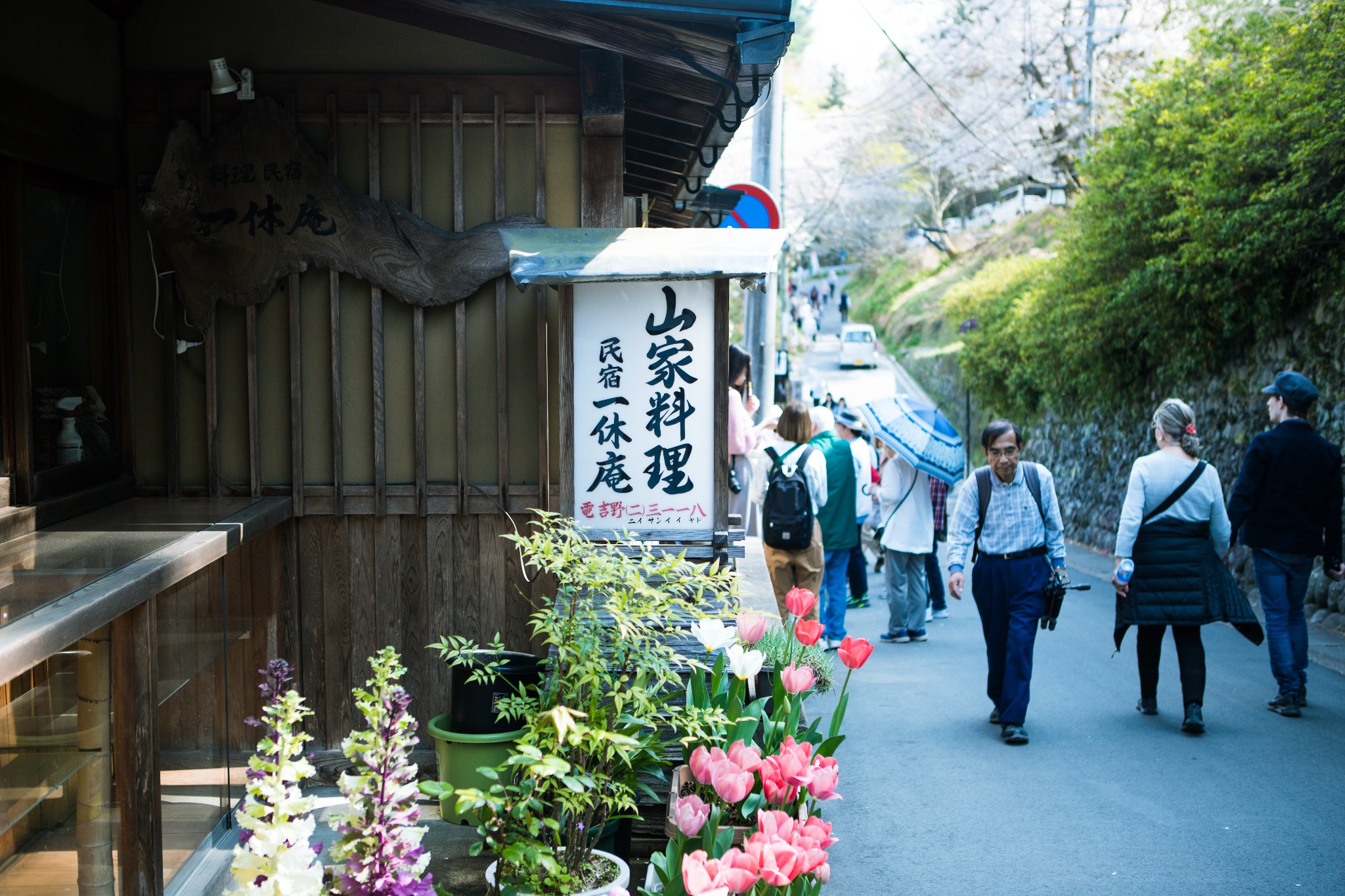 和歌山市自助遊攻略