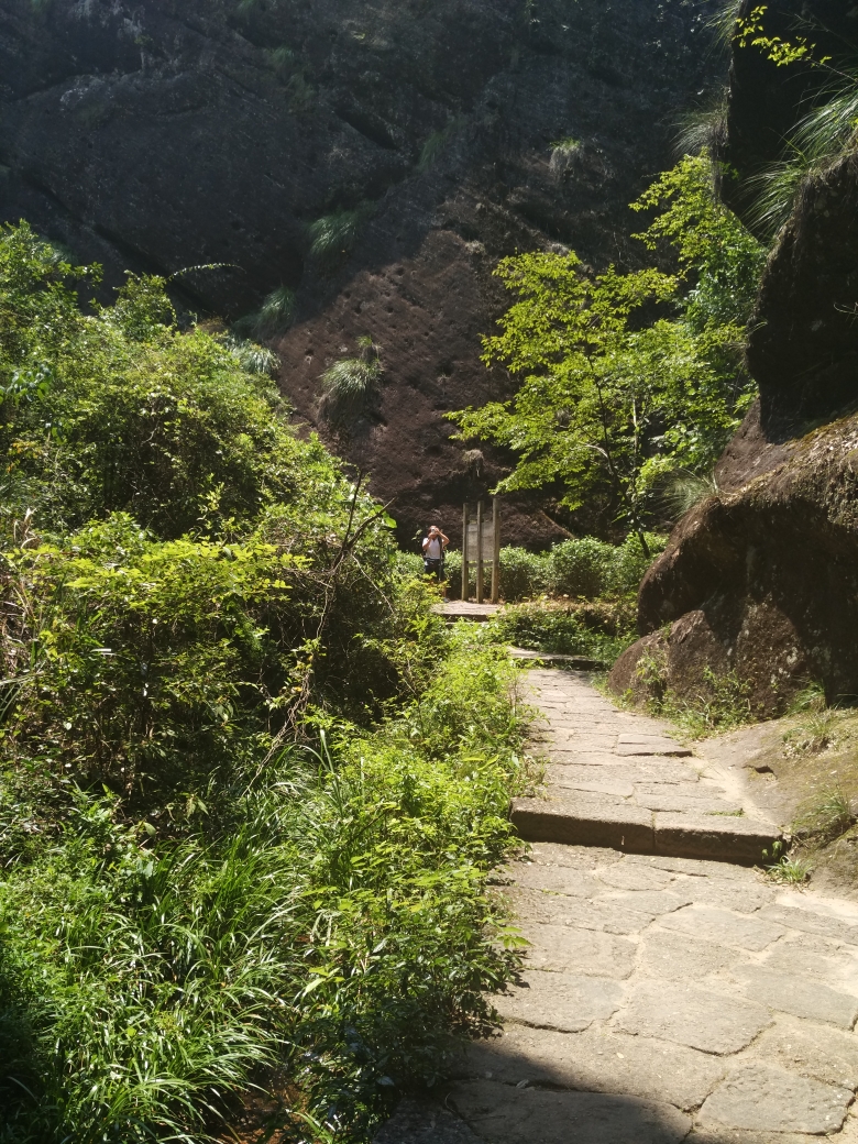 武夷山自助遊攻略