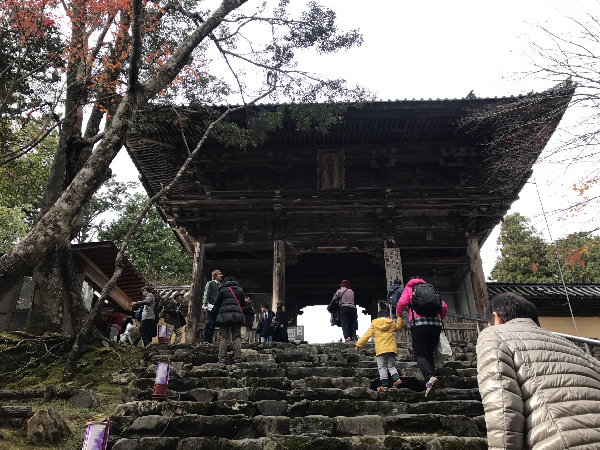 京都自助遊攻略