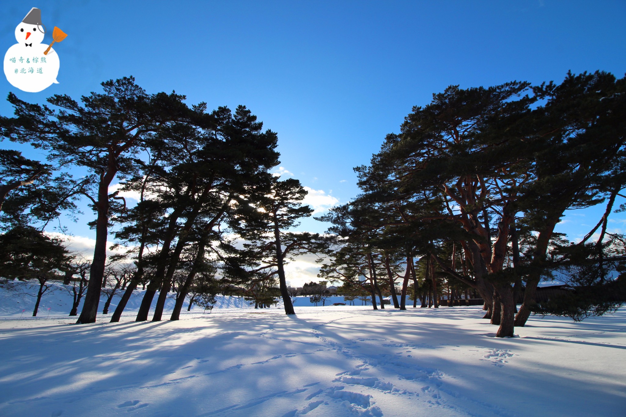 北海道自助遊攻略