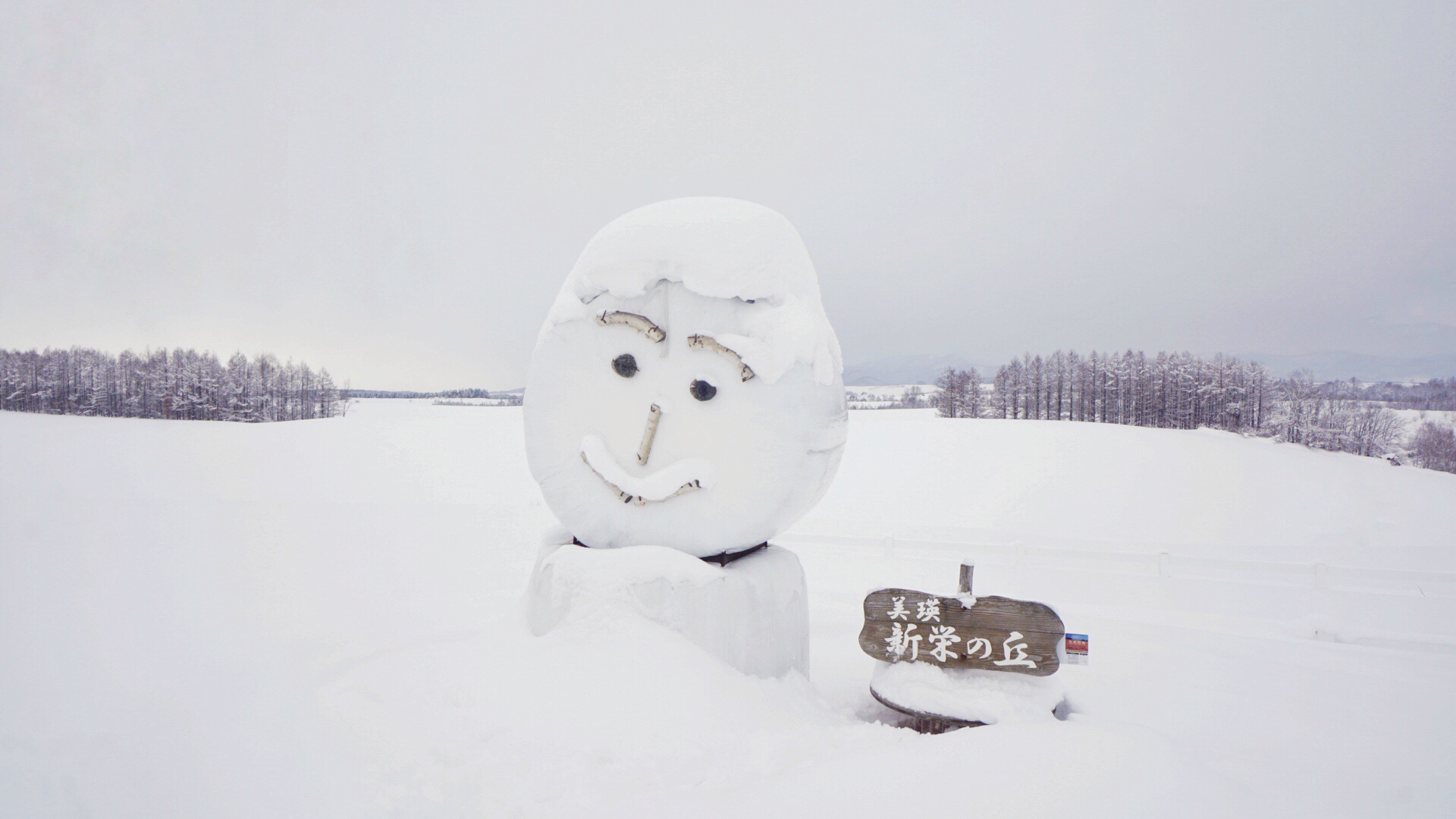 北海道自助遊攻略