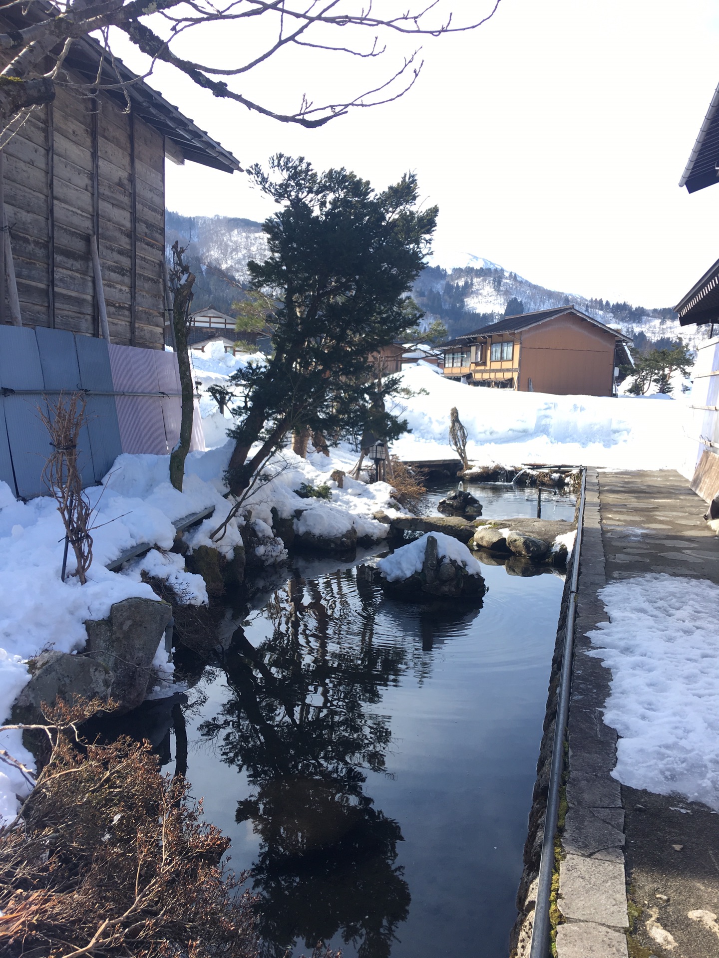 名古屋自助遊攻略