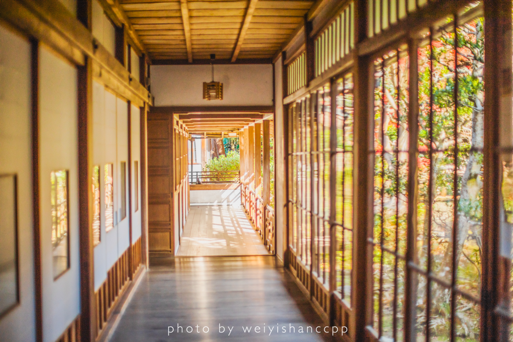 京都自助遊攻略