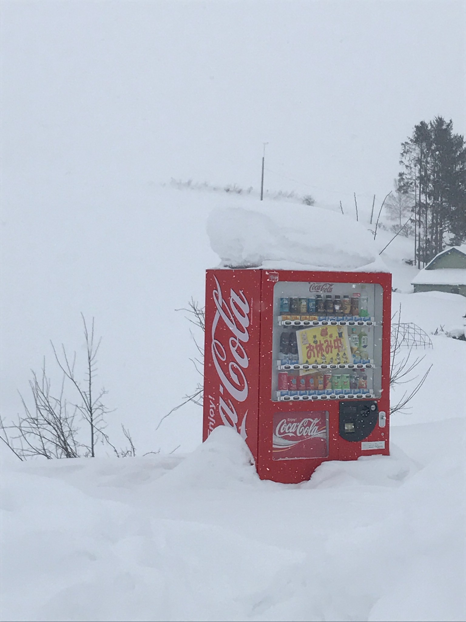 北海道自助遊攻略