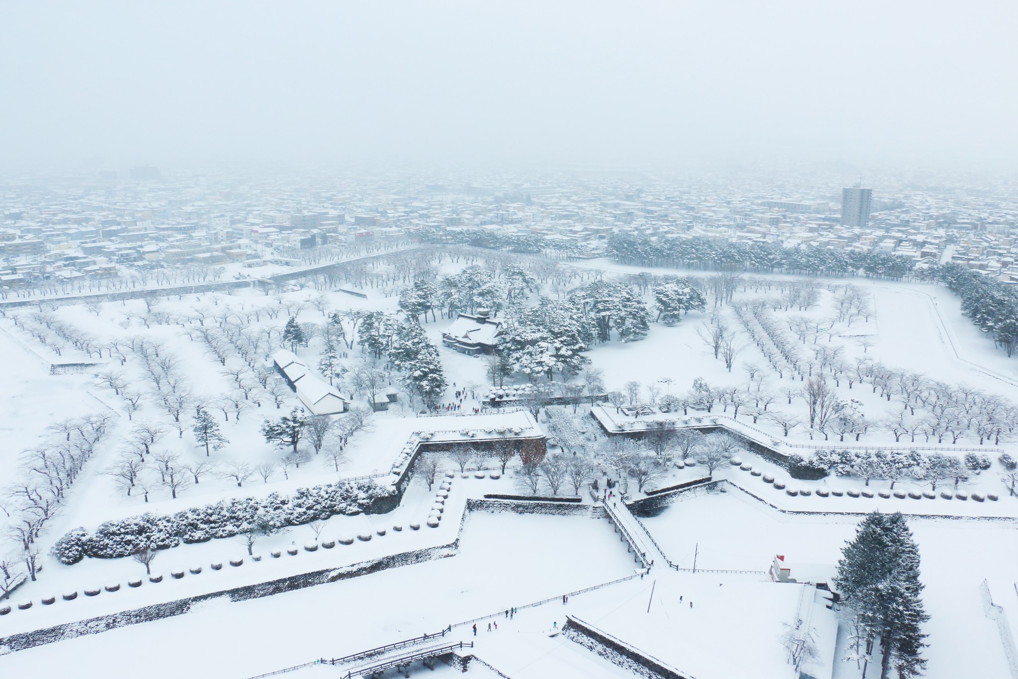 北海道自助遊攻略