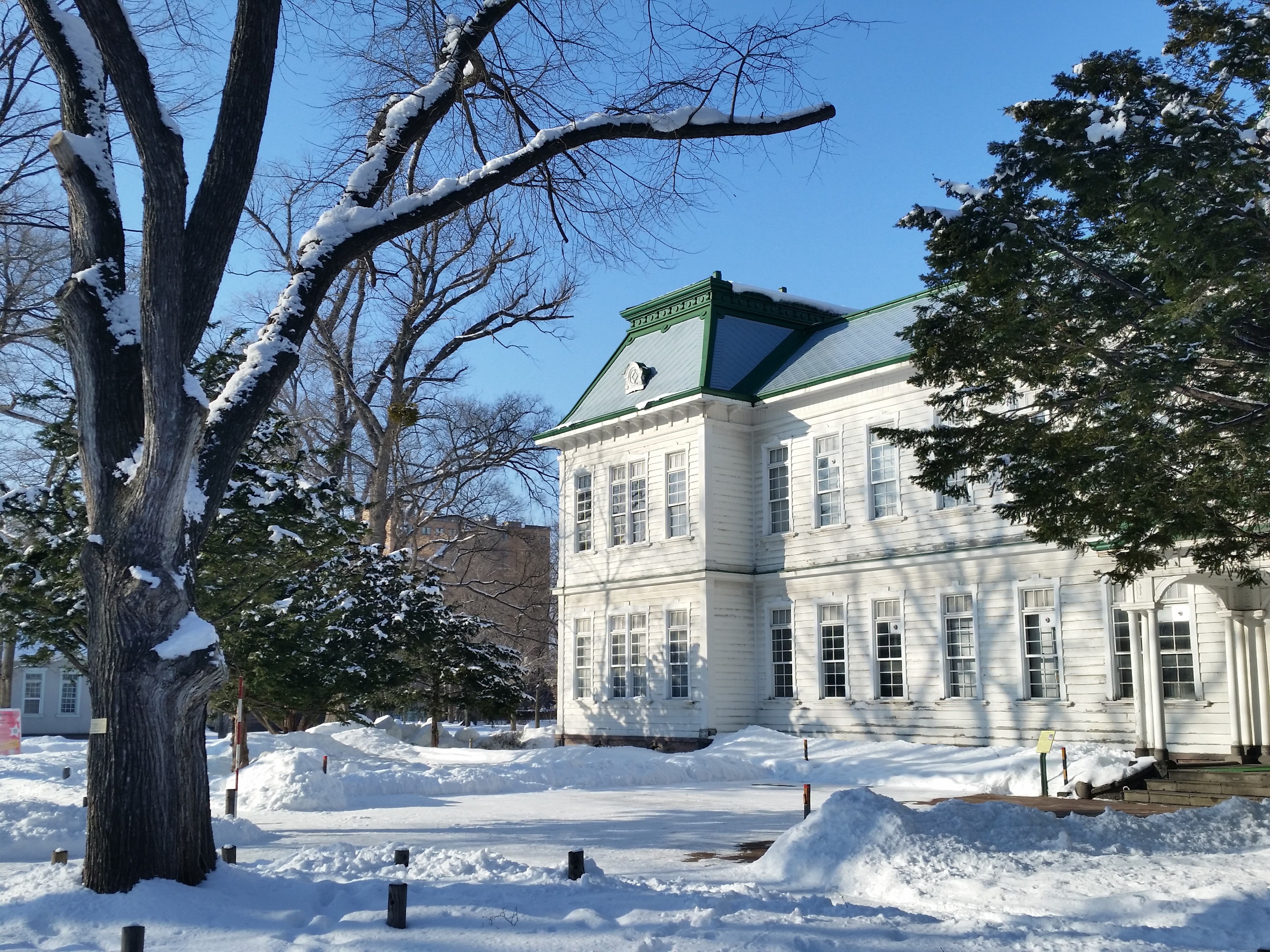 北海道大学可以观光吗北海道大学值得去吗北海道大学观光指南