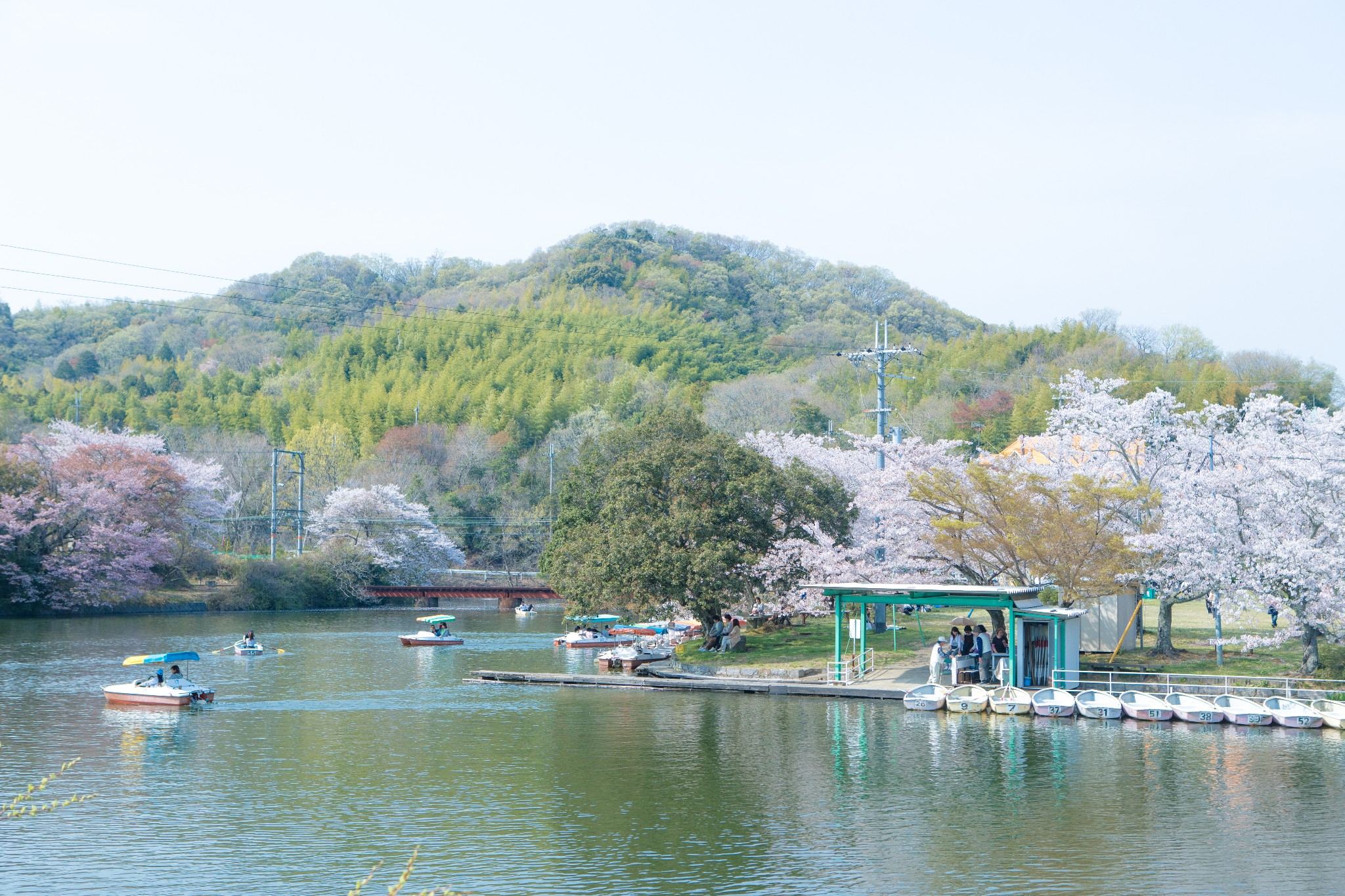 和歌山市自助遊攻略