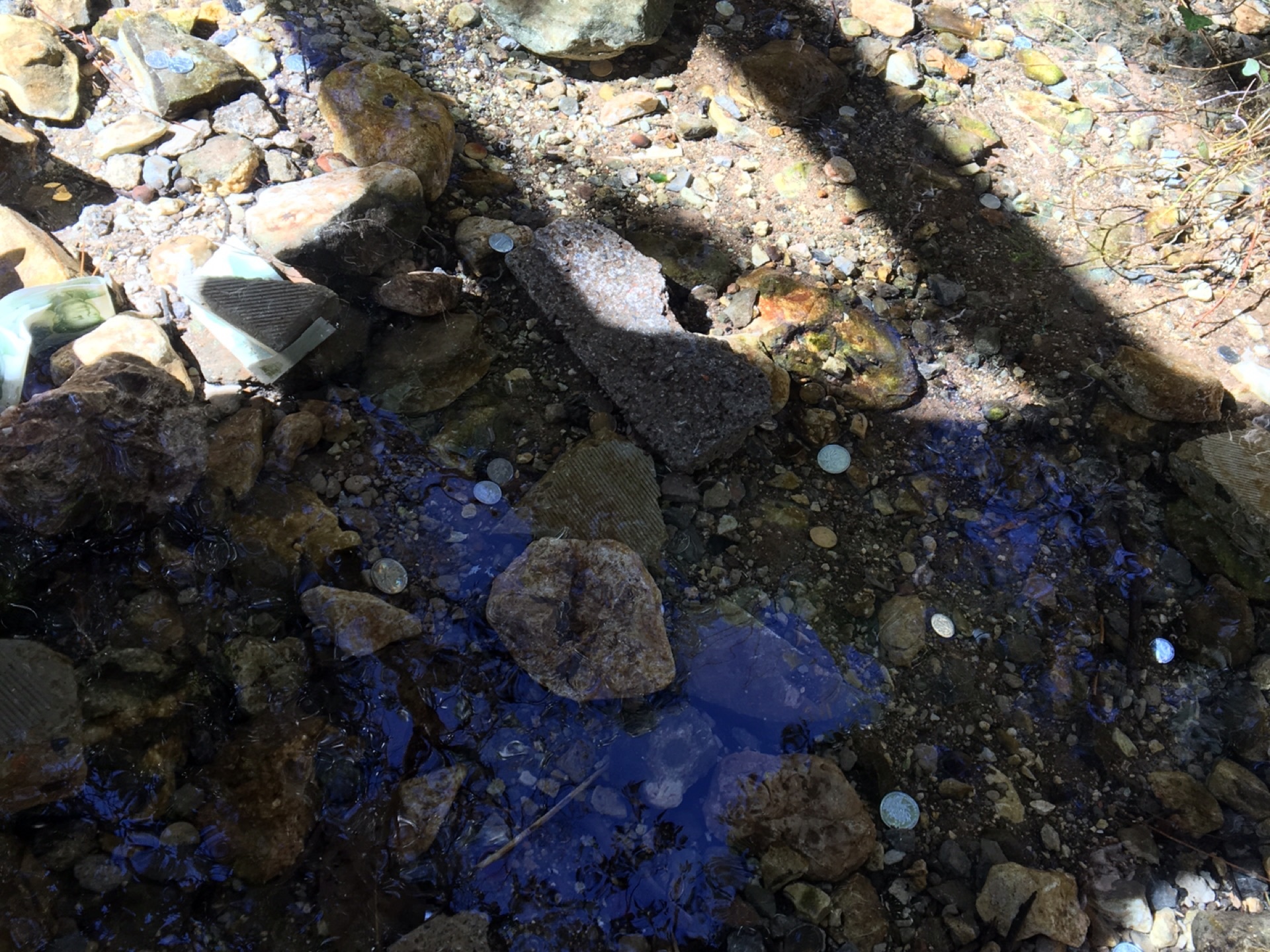 wKgBEFpfRsyAMeZgAA4Y27h9L3w24.jpeg?imageView2%2F2%2Fw%2F680%2Fq%2F90%7CimageMogr2%2Fstrip%2Fquality%2F90