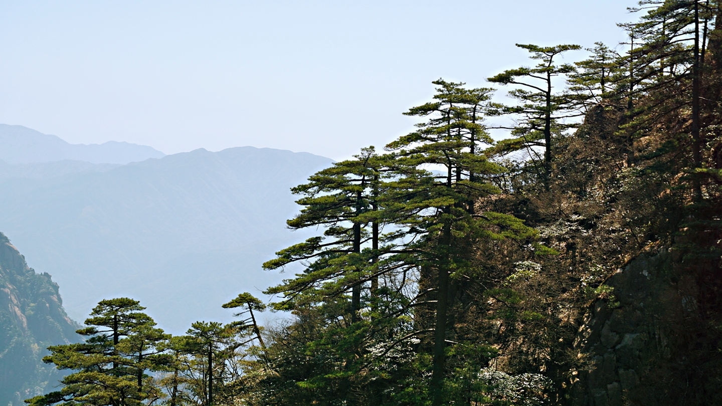 千島湖自助遊攻略