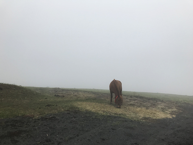 春树 迷失在仙境 旅行家春树的专栏 马蜂窝