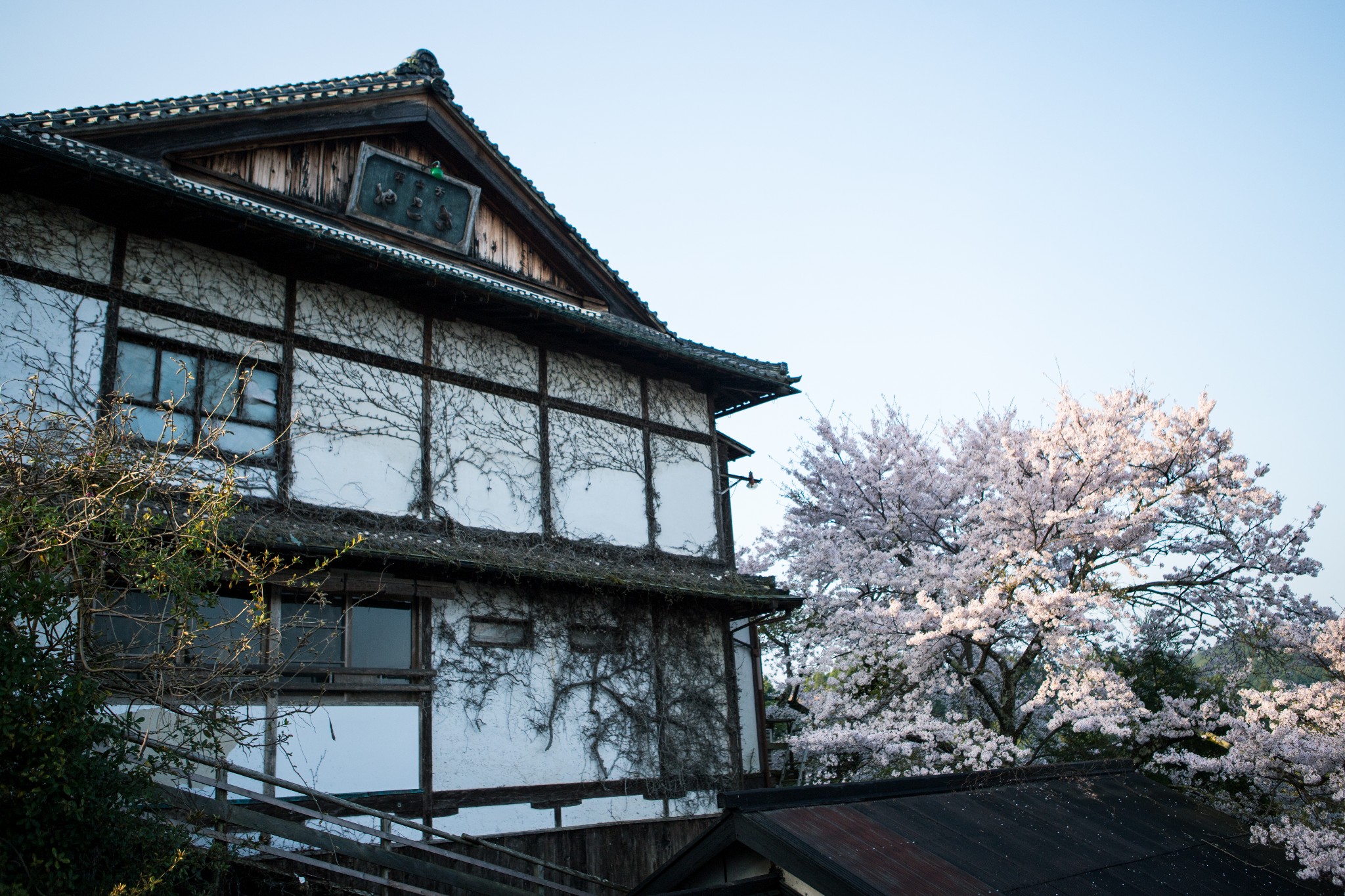 和歌山市自助遊攻略