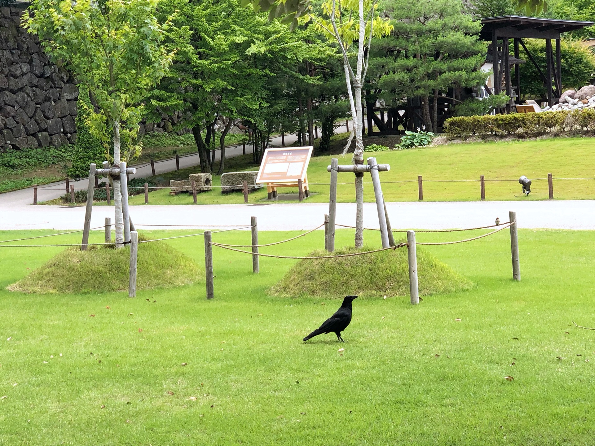 名古屋自助遊攻略