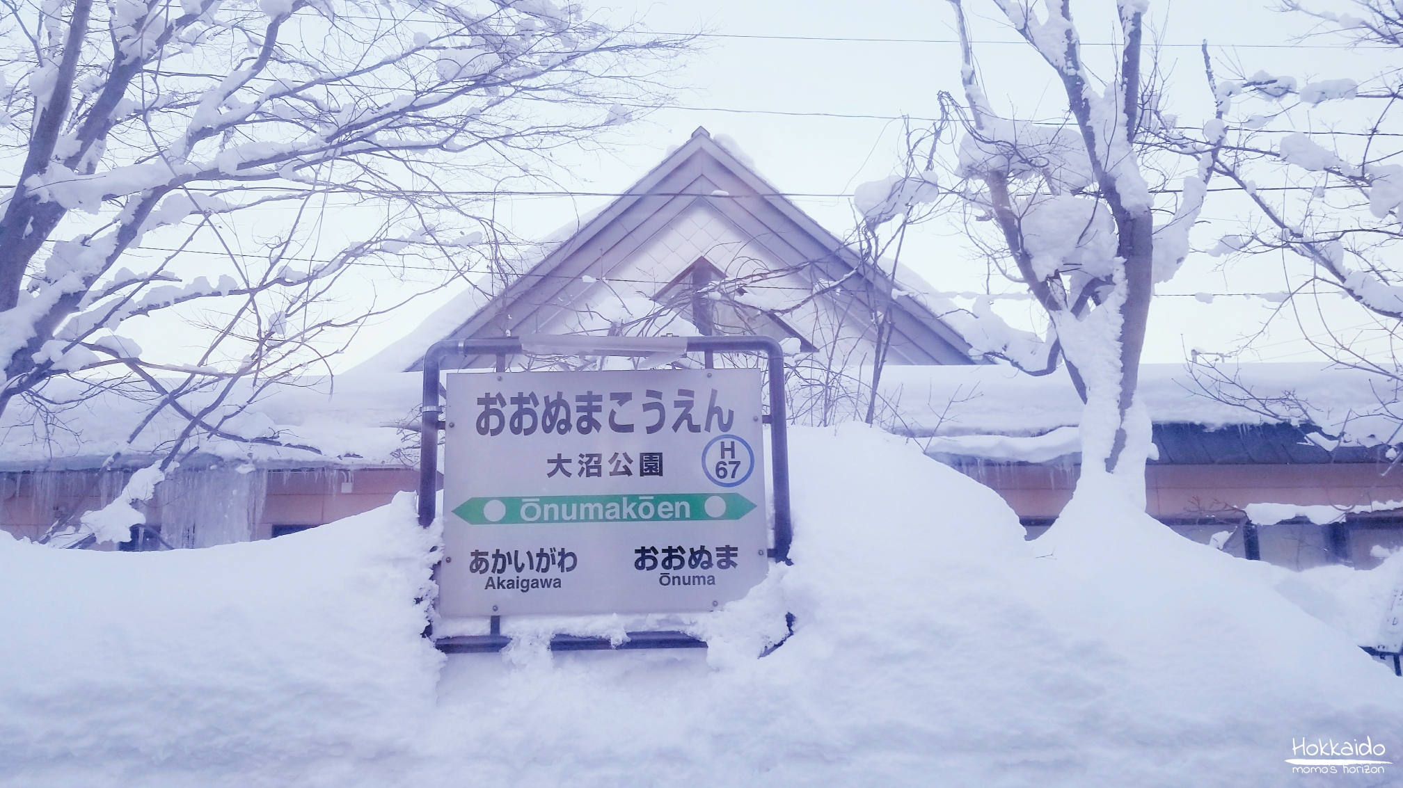 北海道自助遊攻略