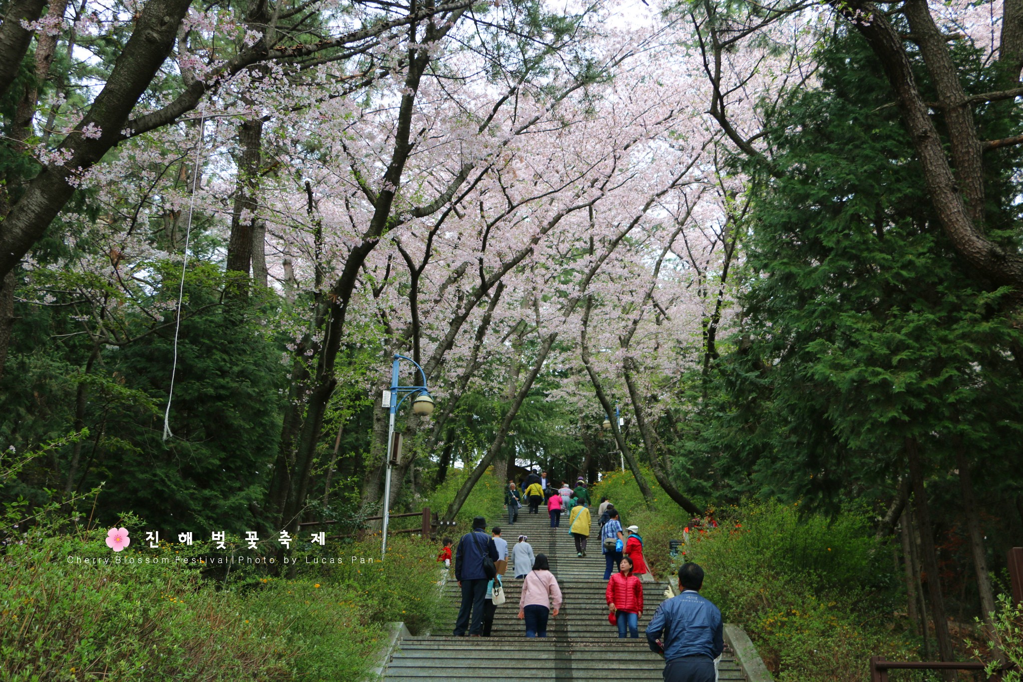 鎮海市自助遊攻略