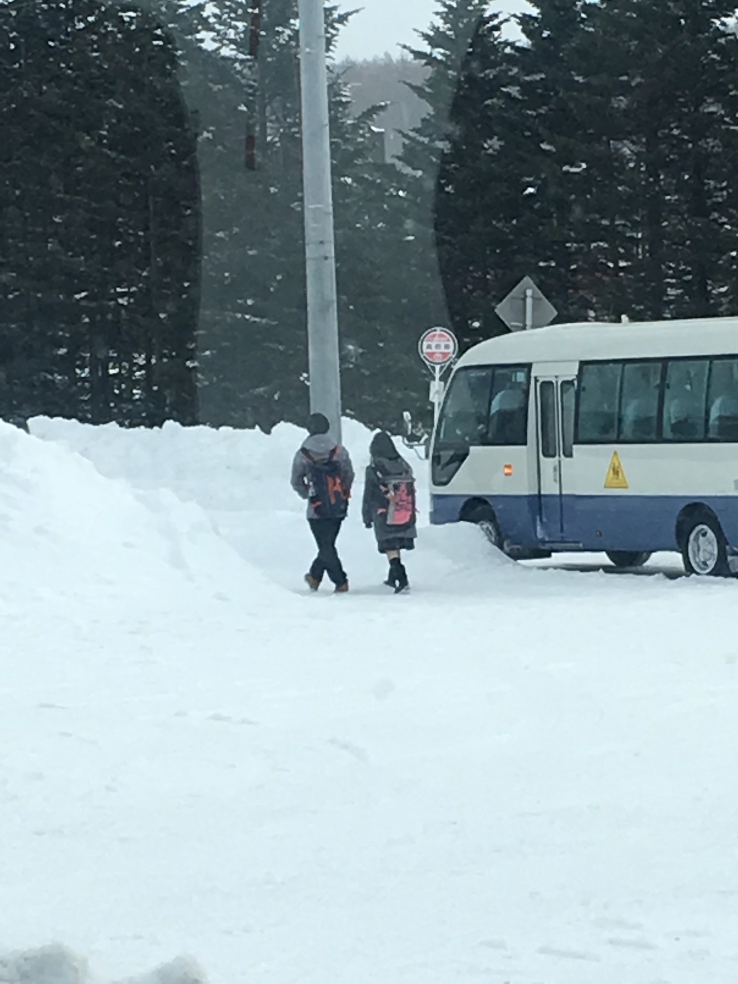 北海道自助遊攻略