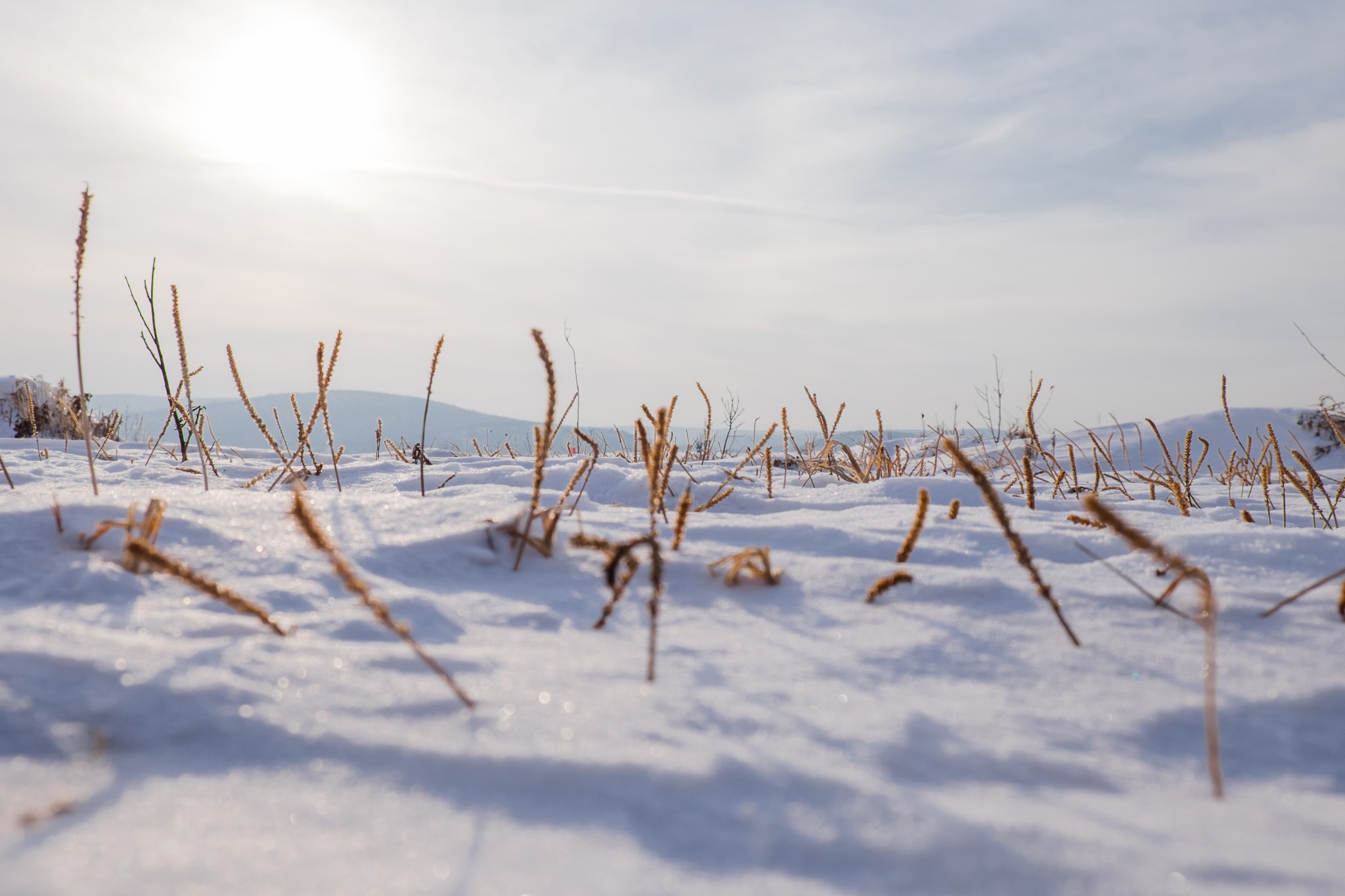 雪鄉自助遊攻略