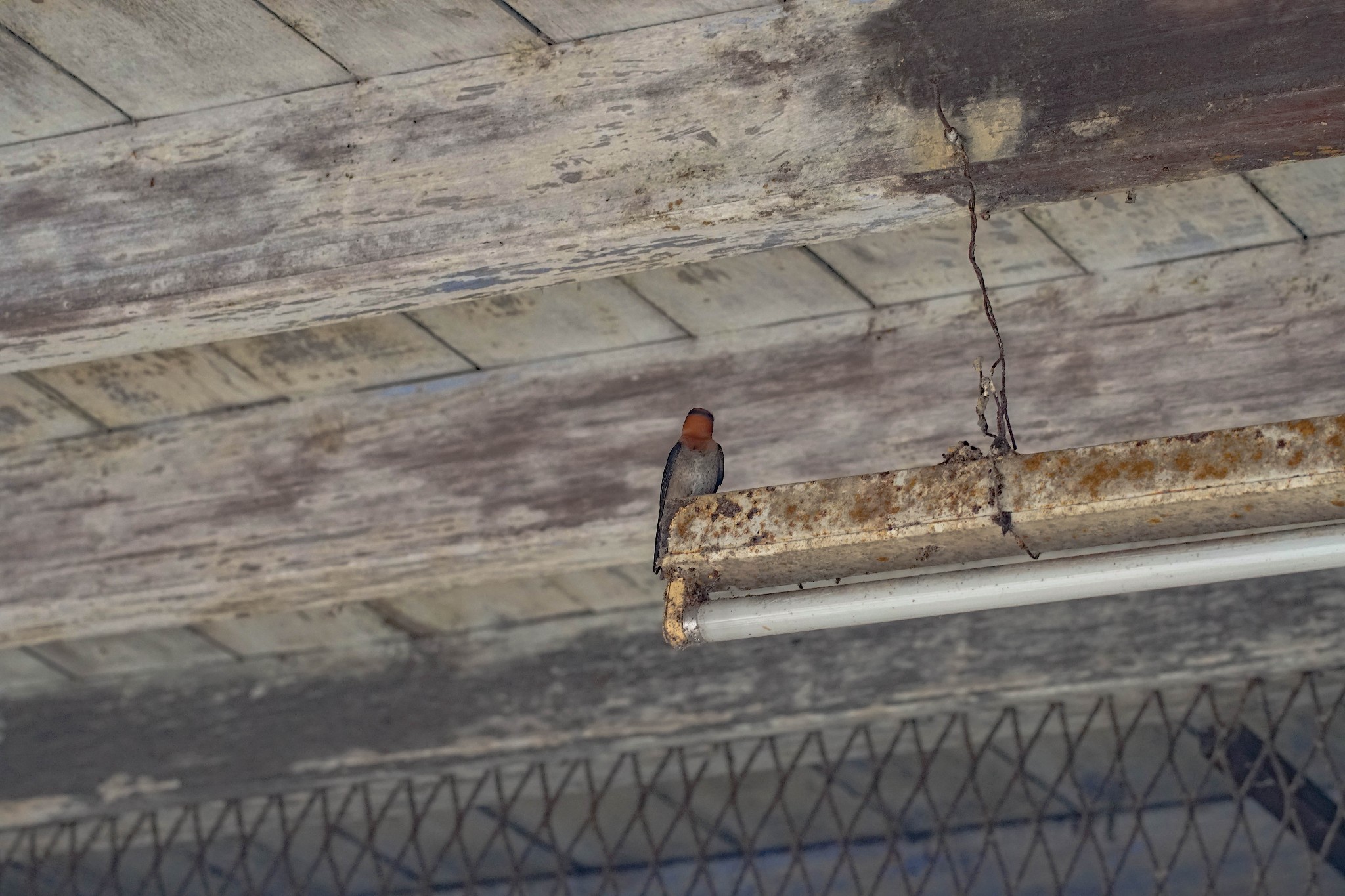 gdp有形无形_无形变有形简笔画(2)