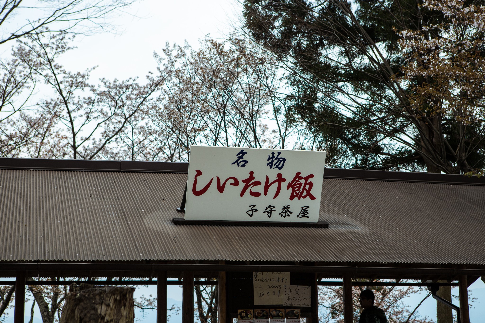 和歌山市自助遊攻略