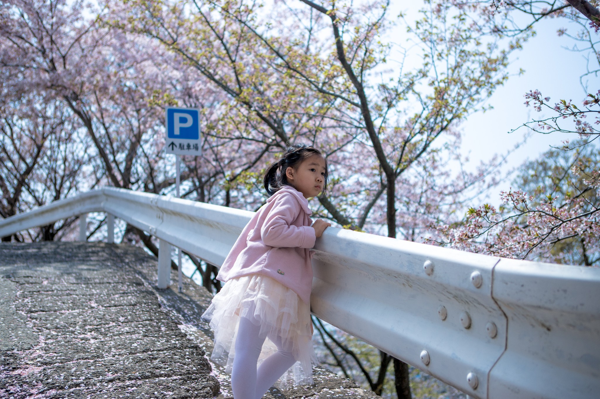 和歌山市自助遊攻略